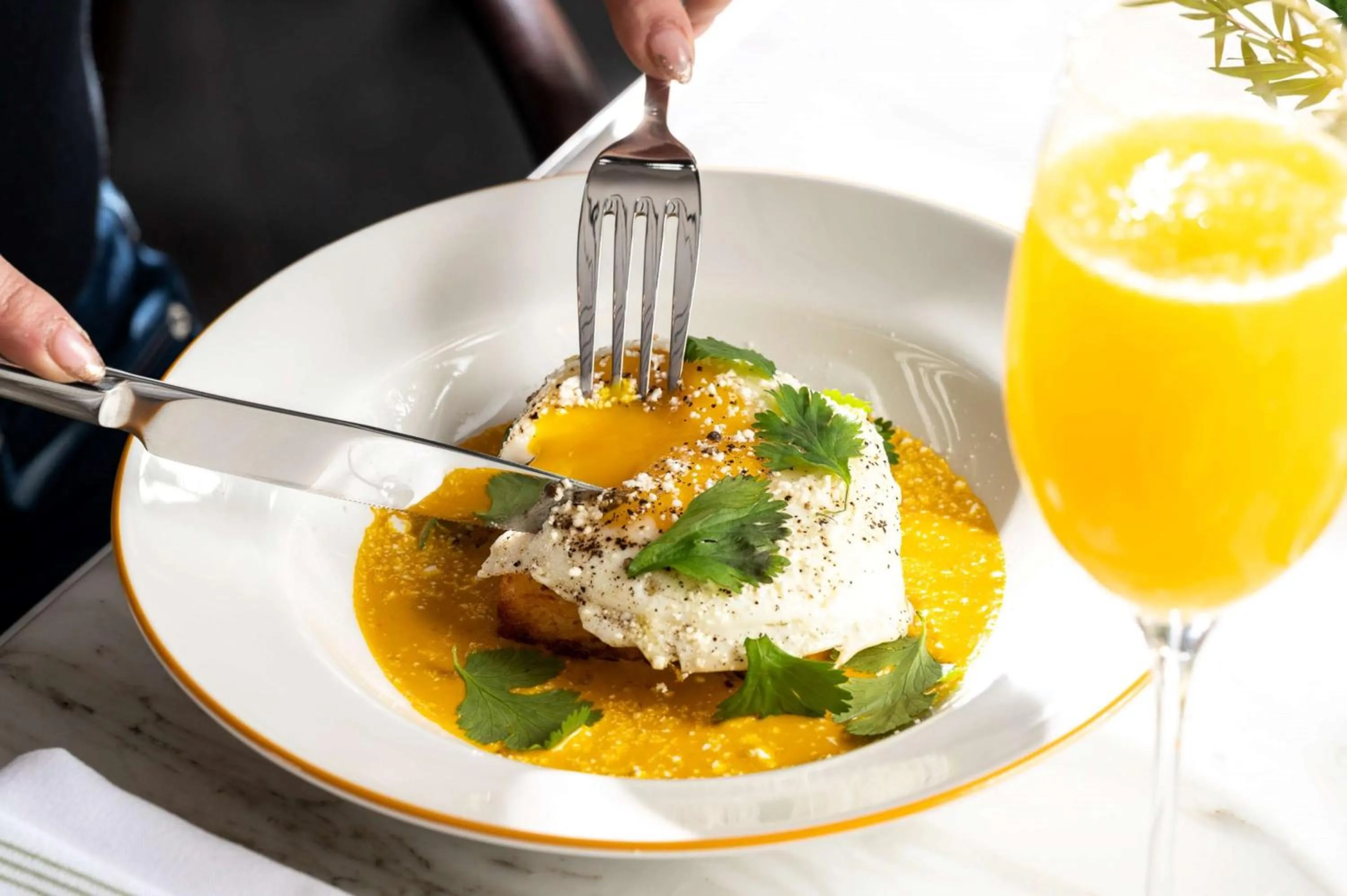 Restaurant/places to eat in Thompson Denver, by Hyatt