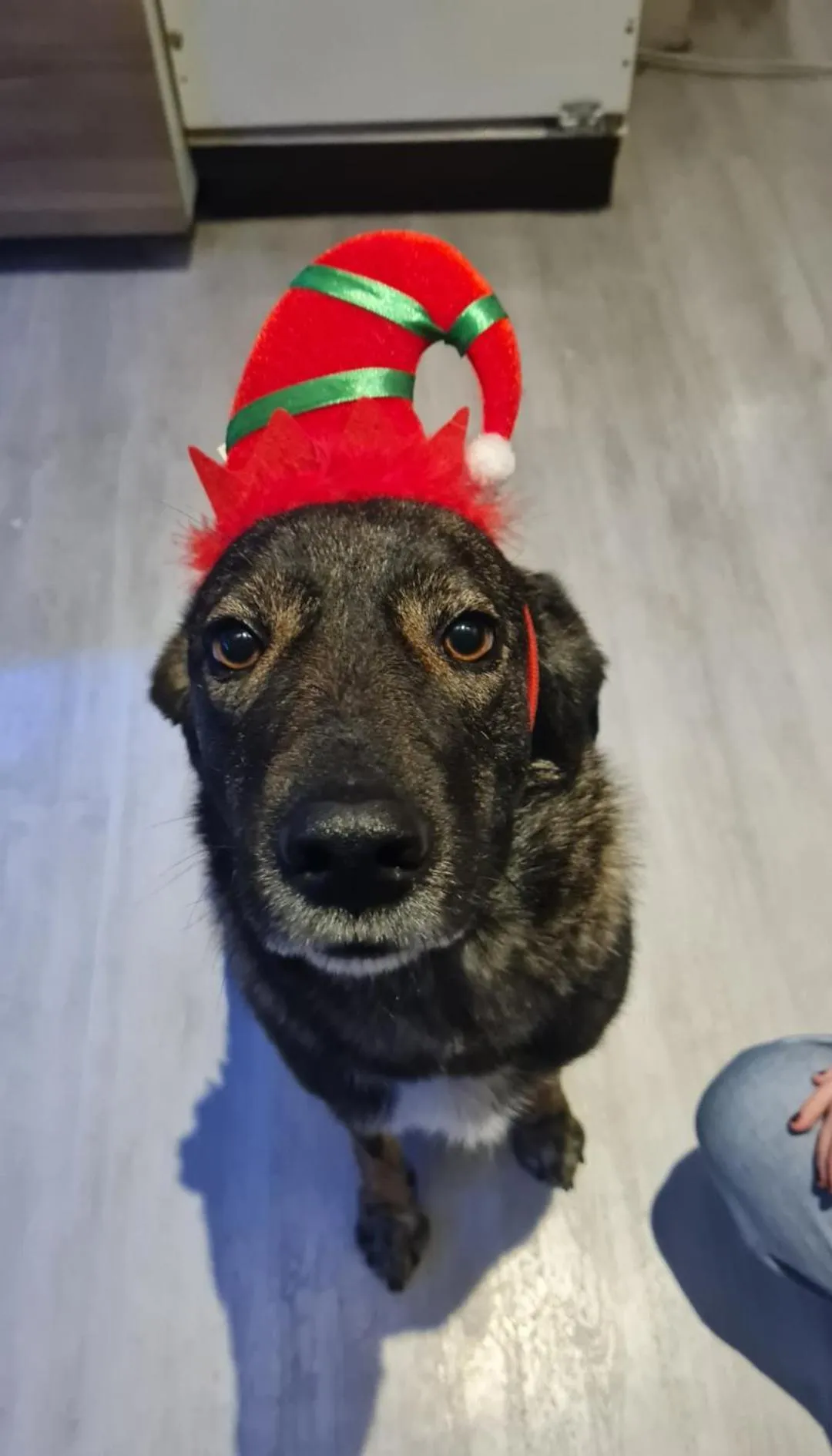 Hotel-Barbarossa-Garni bei Hanau