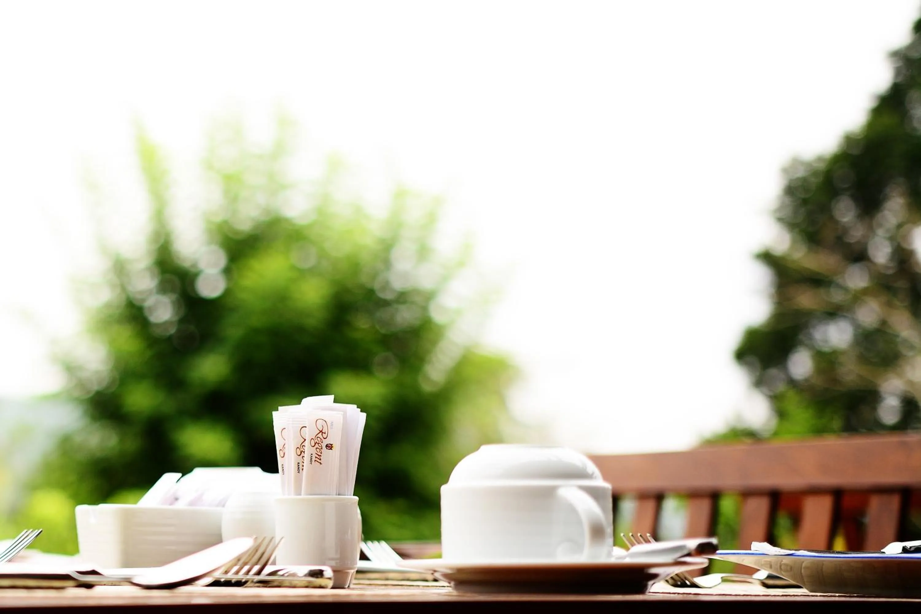 Food and drinks in Earl's Regent Hotel