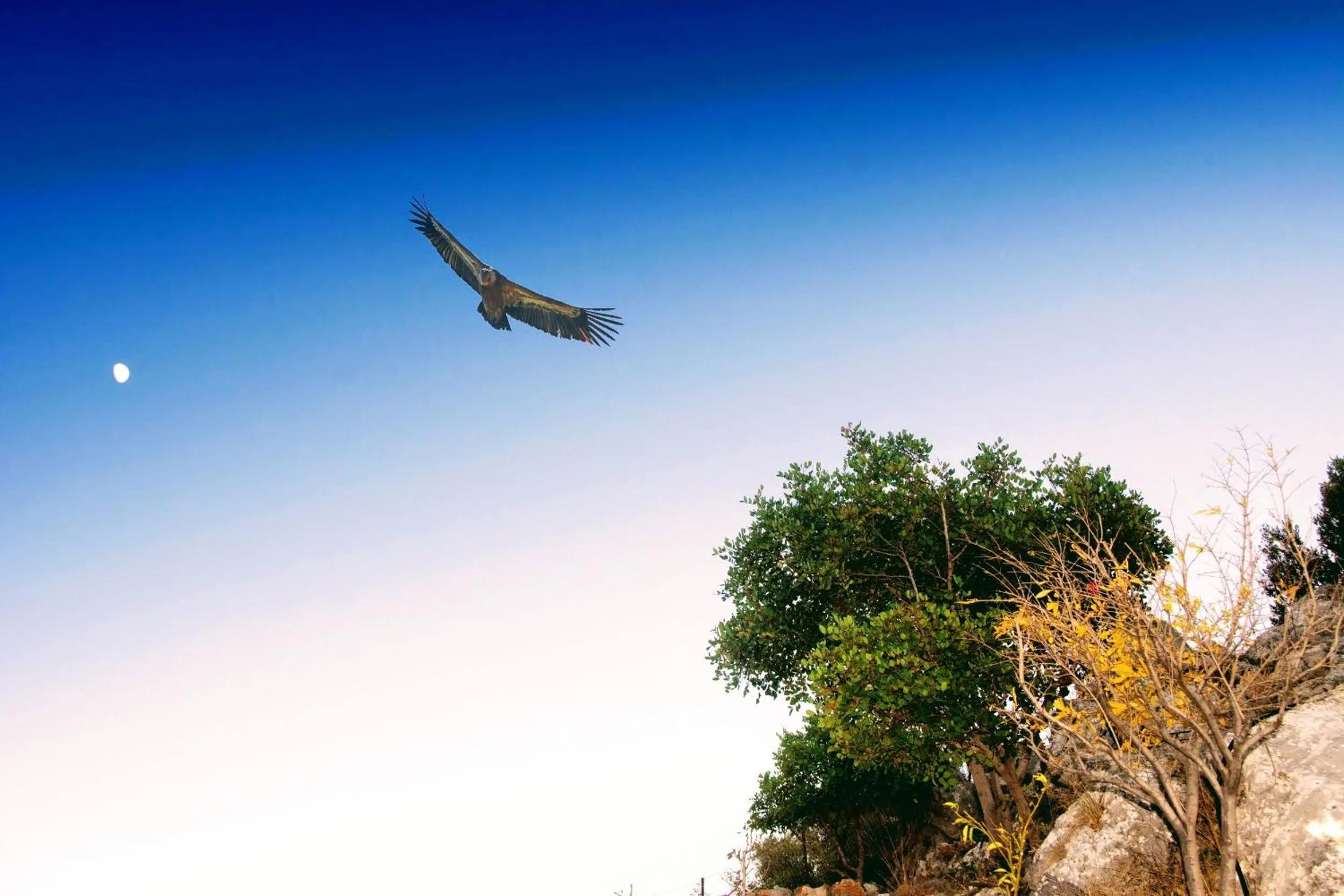 Bird's eye view in Ippoliti Village