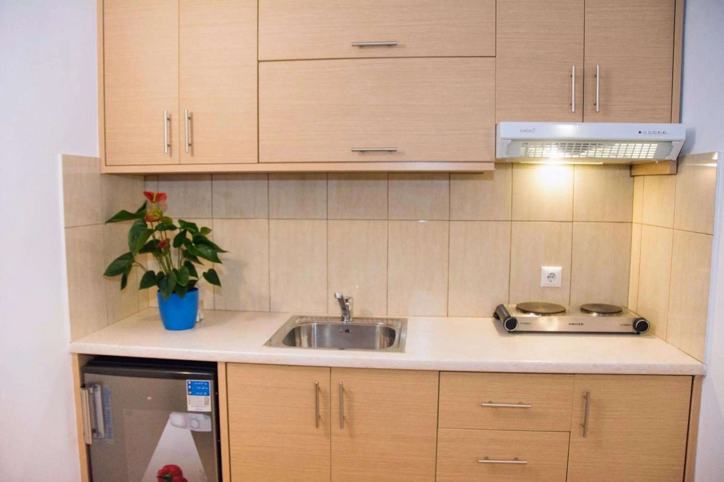 Kitchen or kitchenette in Ippoliti Village