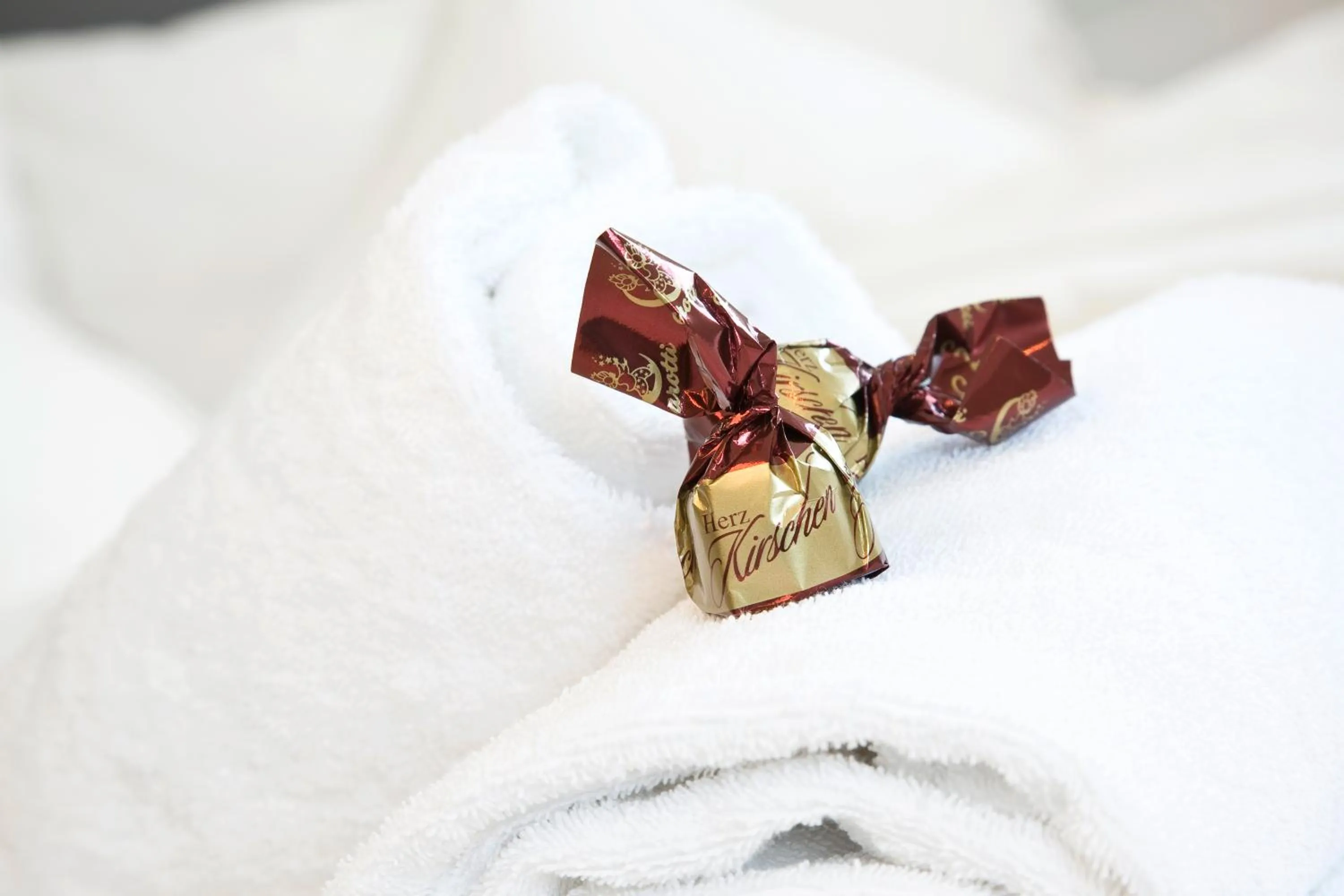 Decorative detail in Hotel Bergidyll