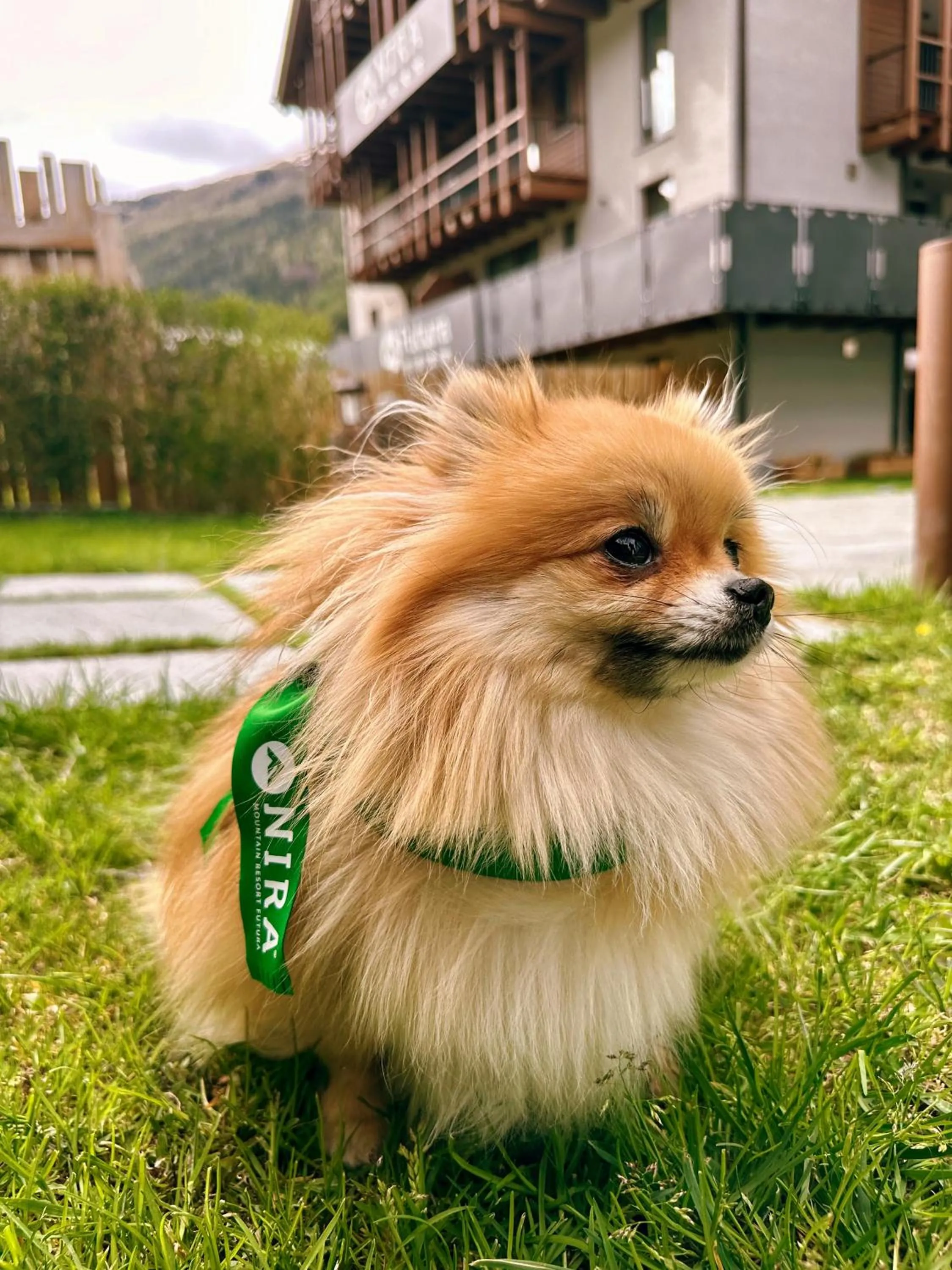 Property building in Nira Mountain Resort Futura