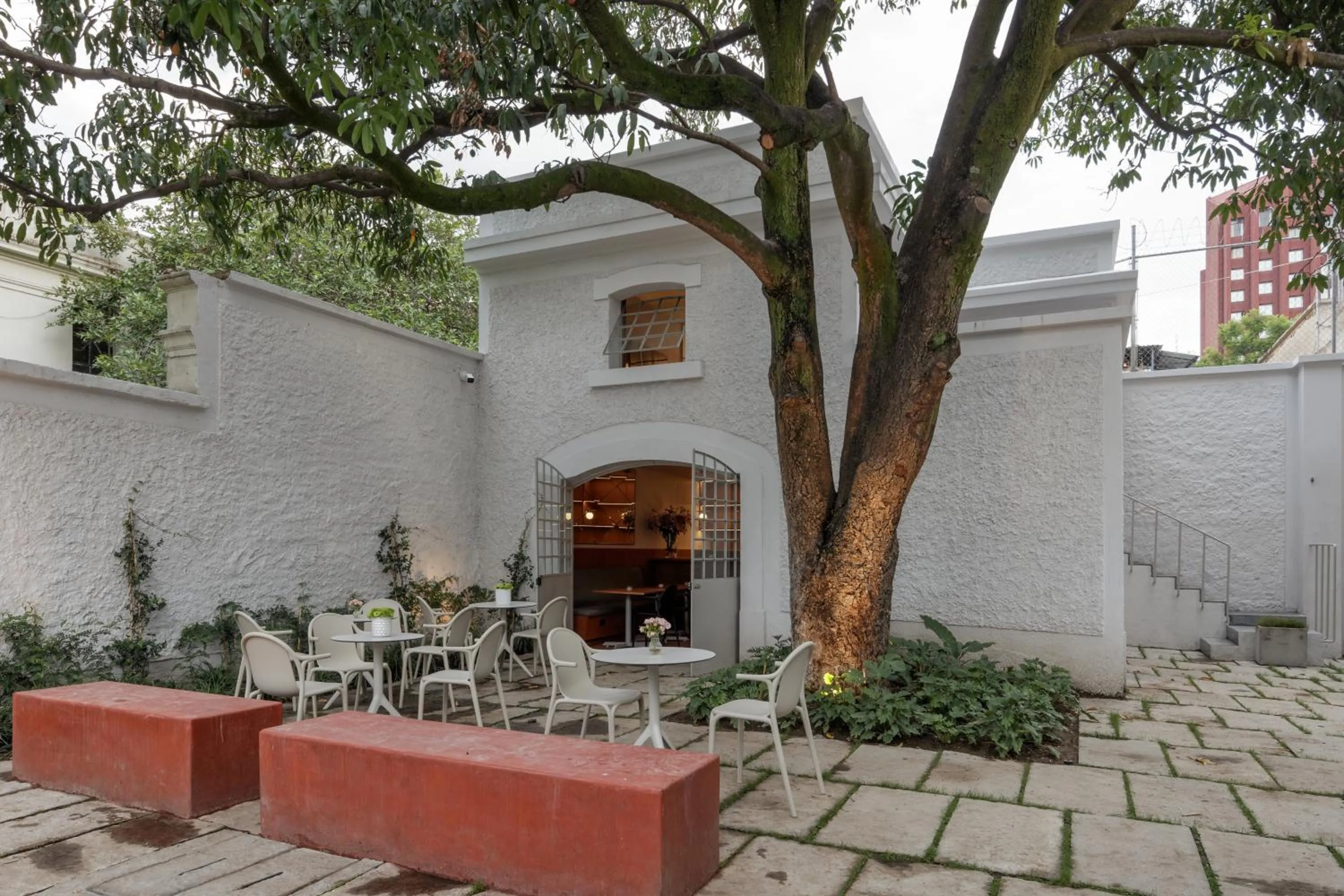 Restaurant/places to eat in Casa Bosque Eduviges