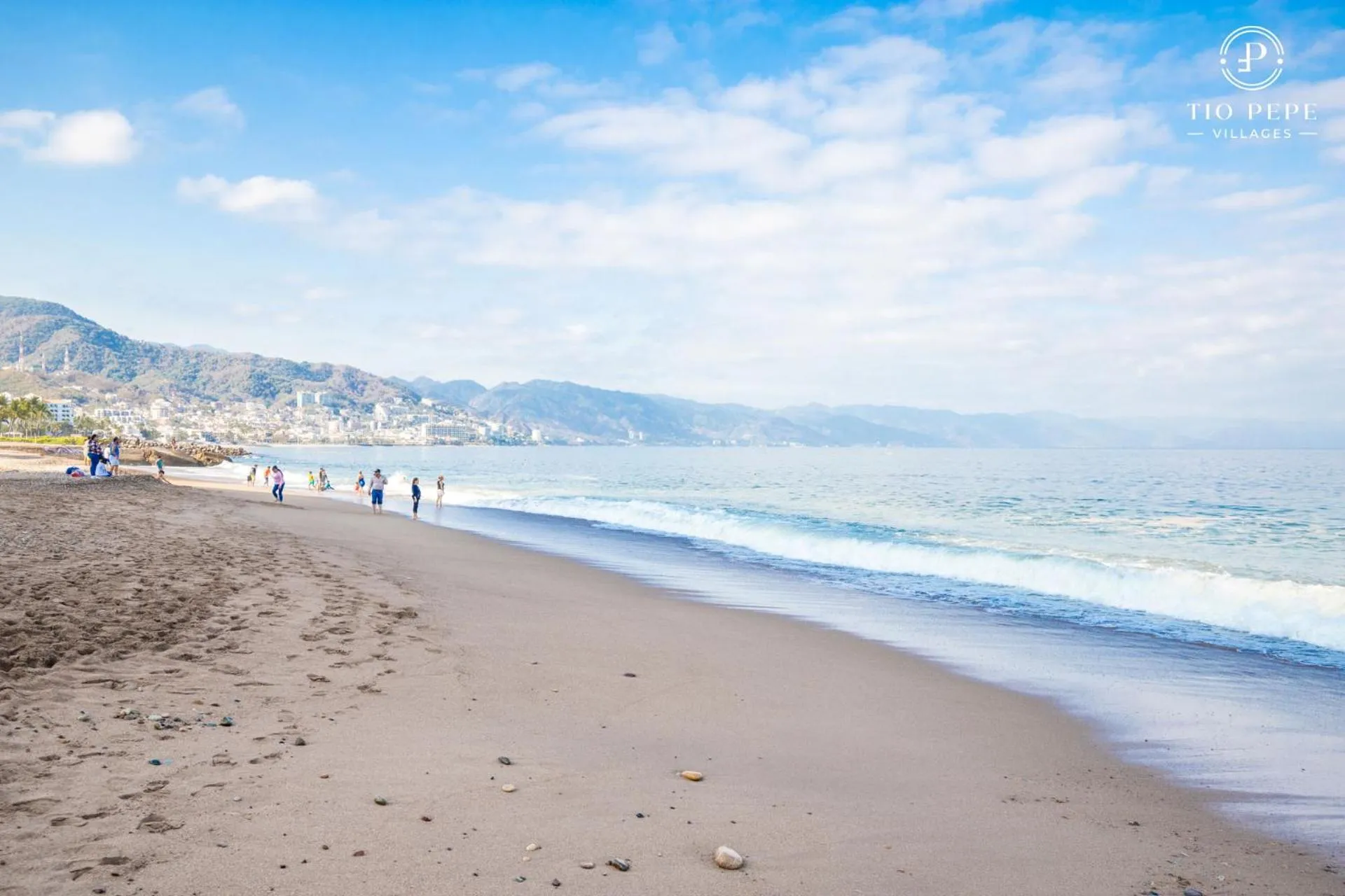 Beach in Harbor Puerto Vallarta 14003