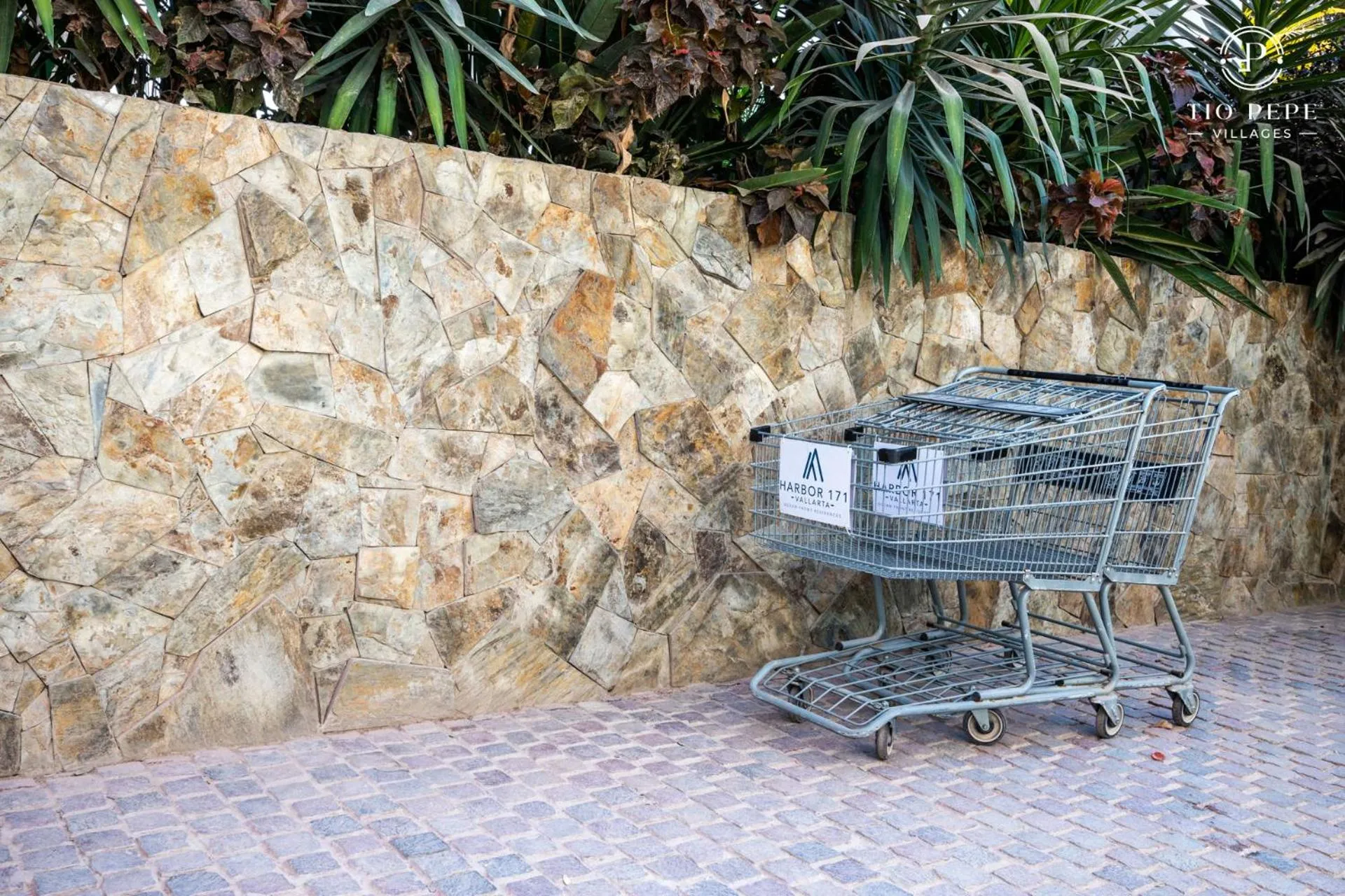 room service in Harbor Puerto Vallarta 14003