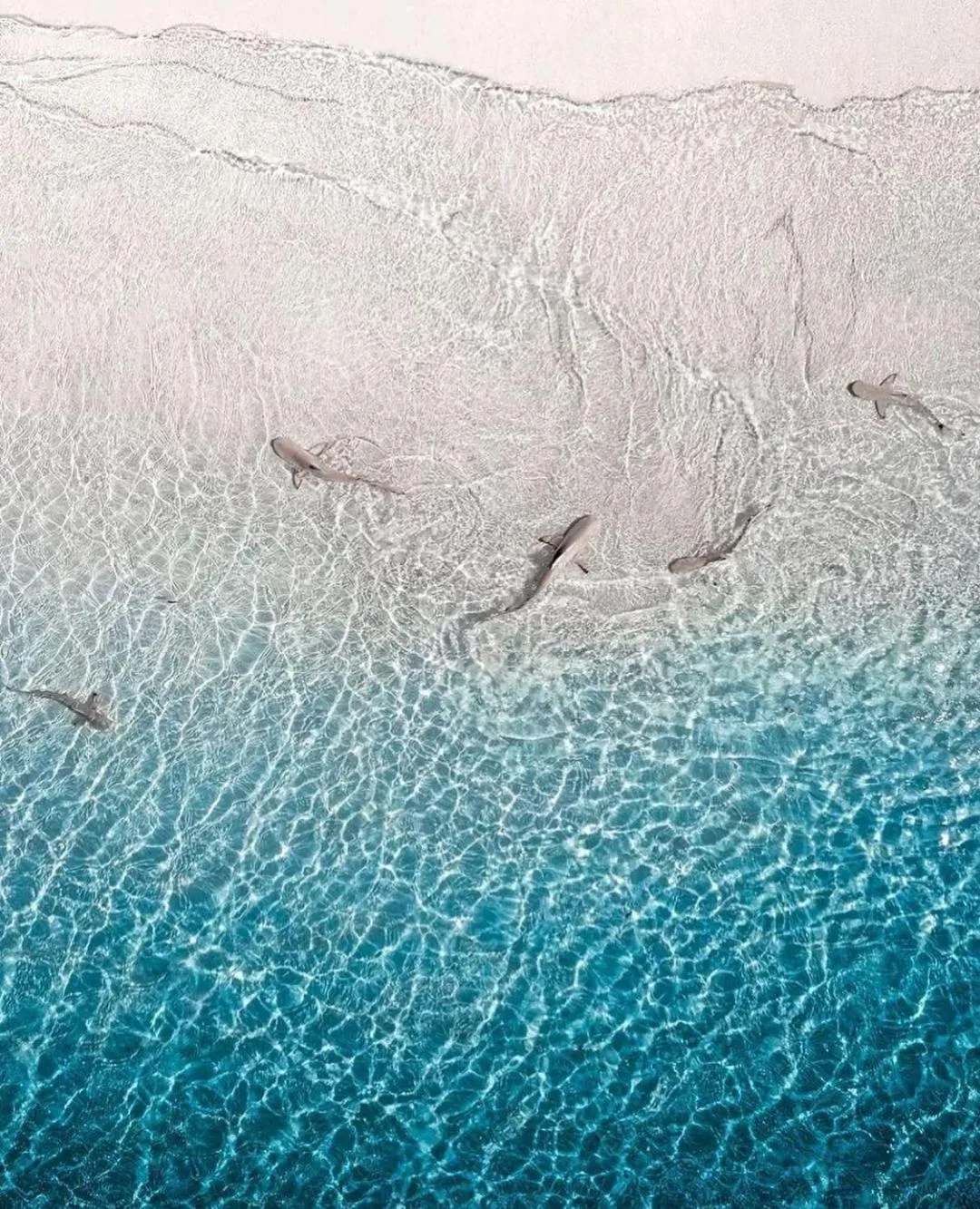 Beach in Paradise Retreat, Maafushi