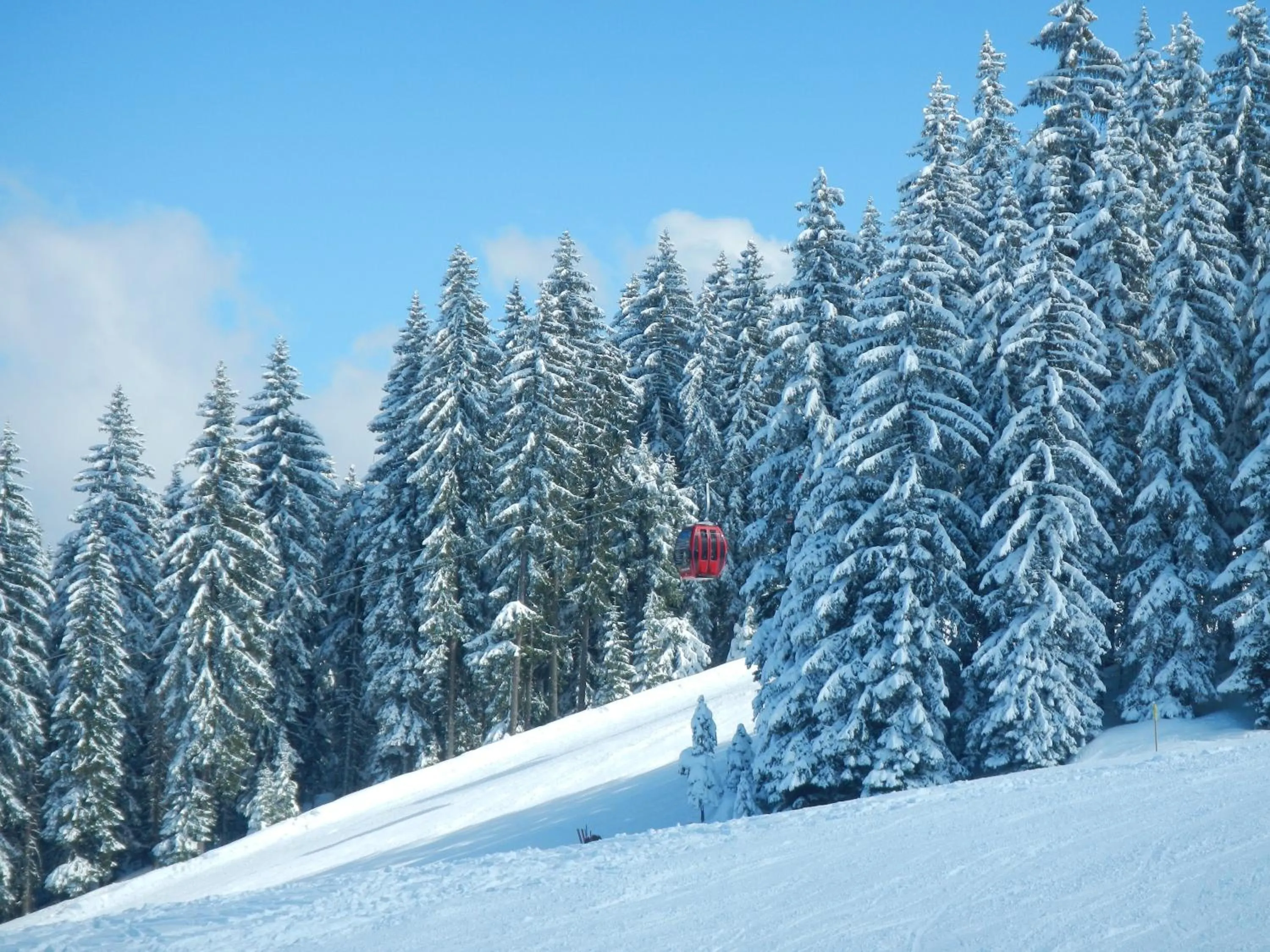 Neighbourhood in Haus Susanne