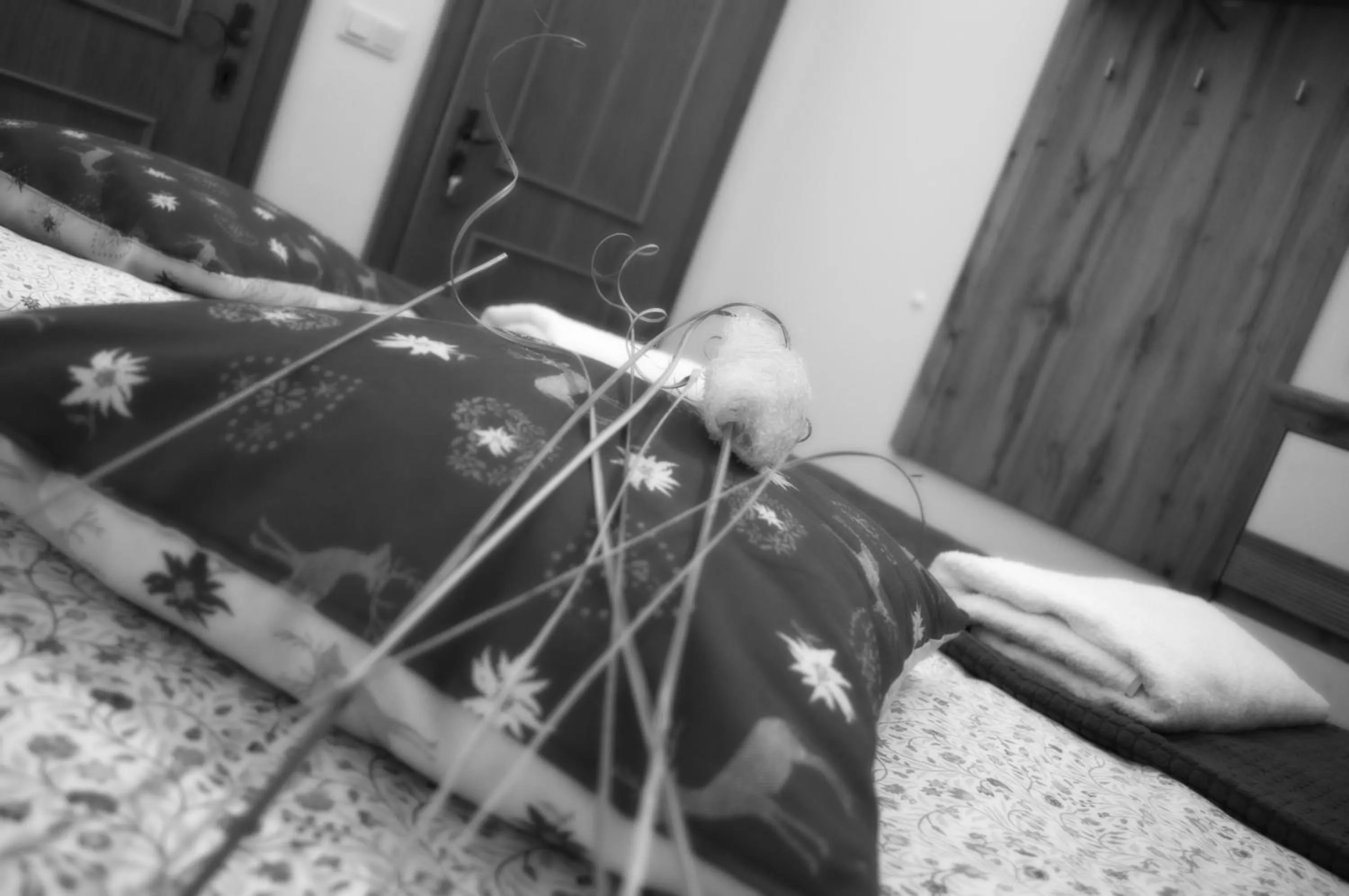 Decorative detail in Haus Susanne