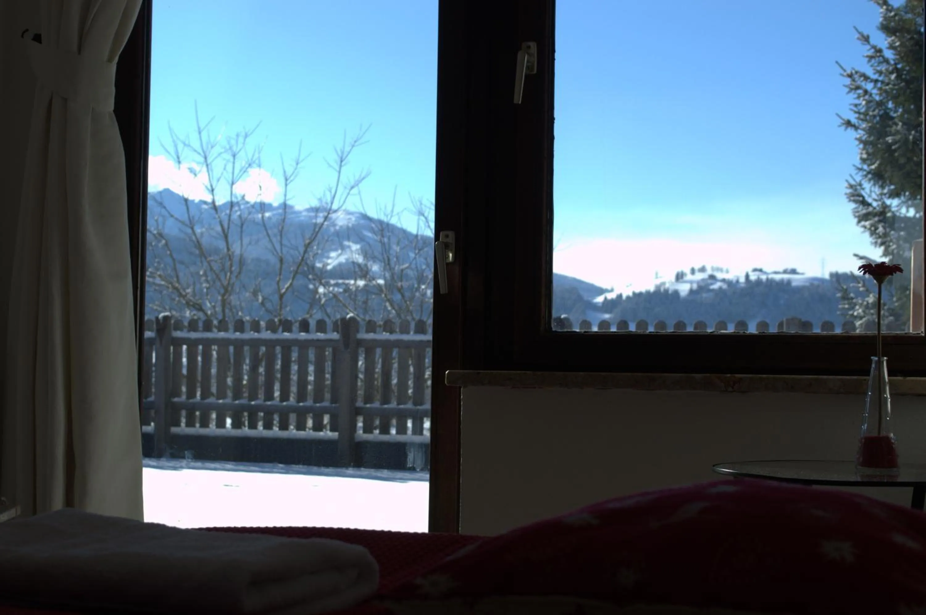 View (from property/room) in Haus Susanne