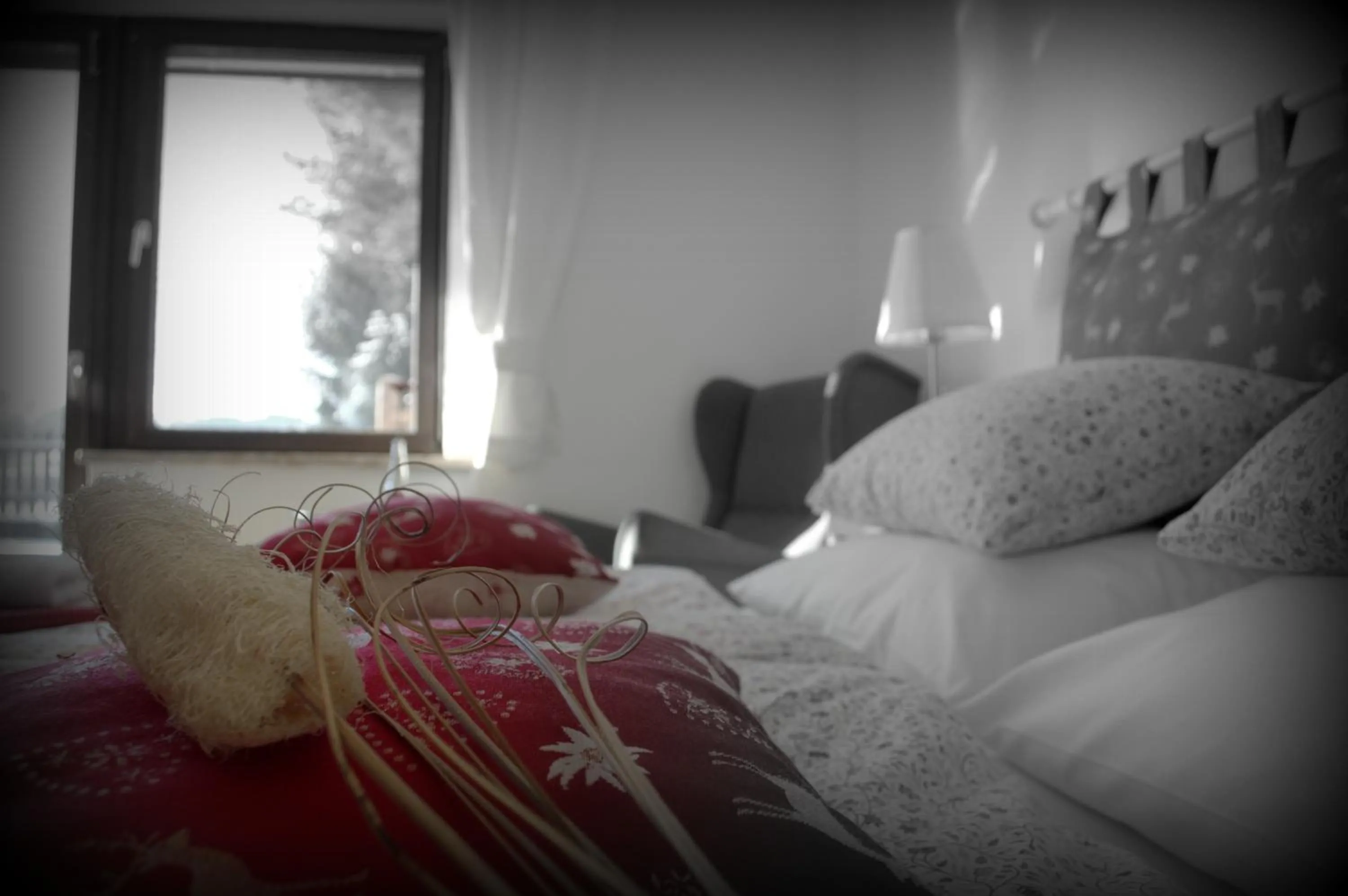 Photo of the whole room, Bed in Haus Susanne