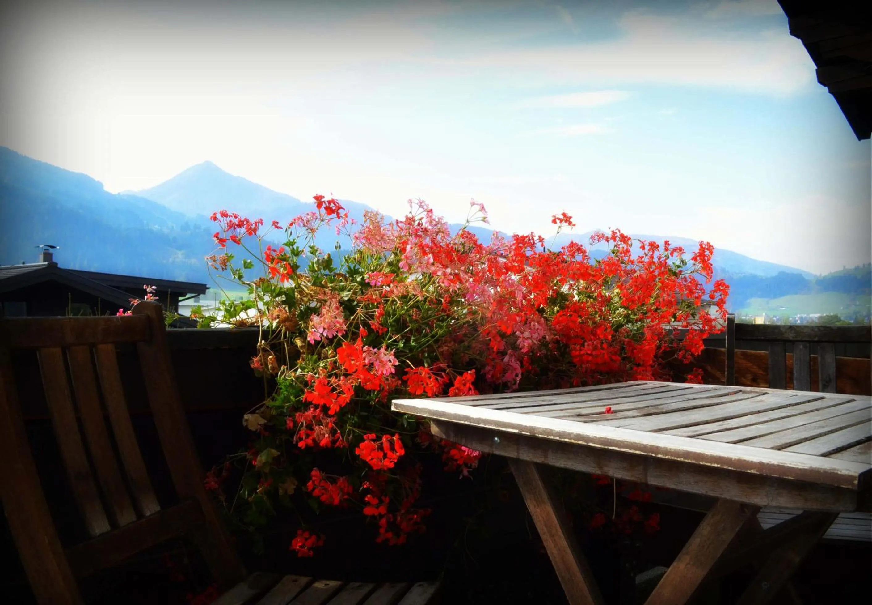 View (from property/room) in Haus Susanne