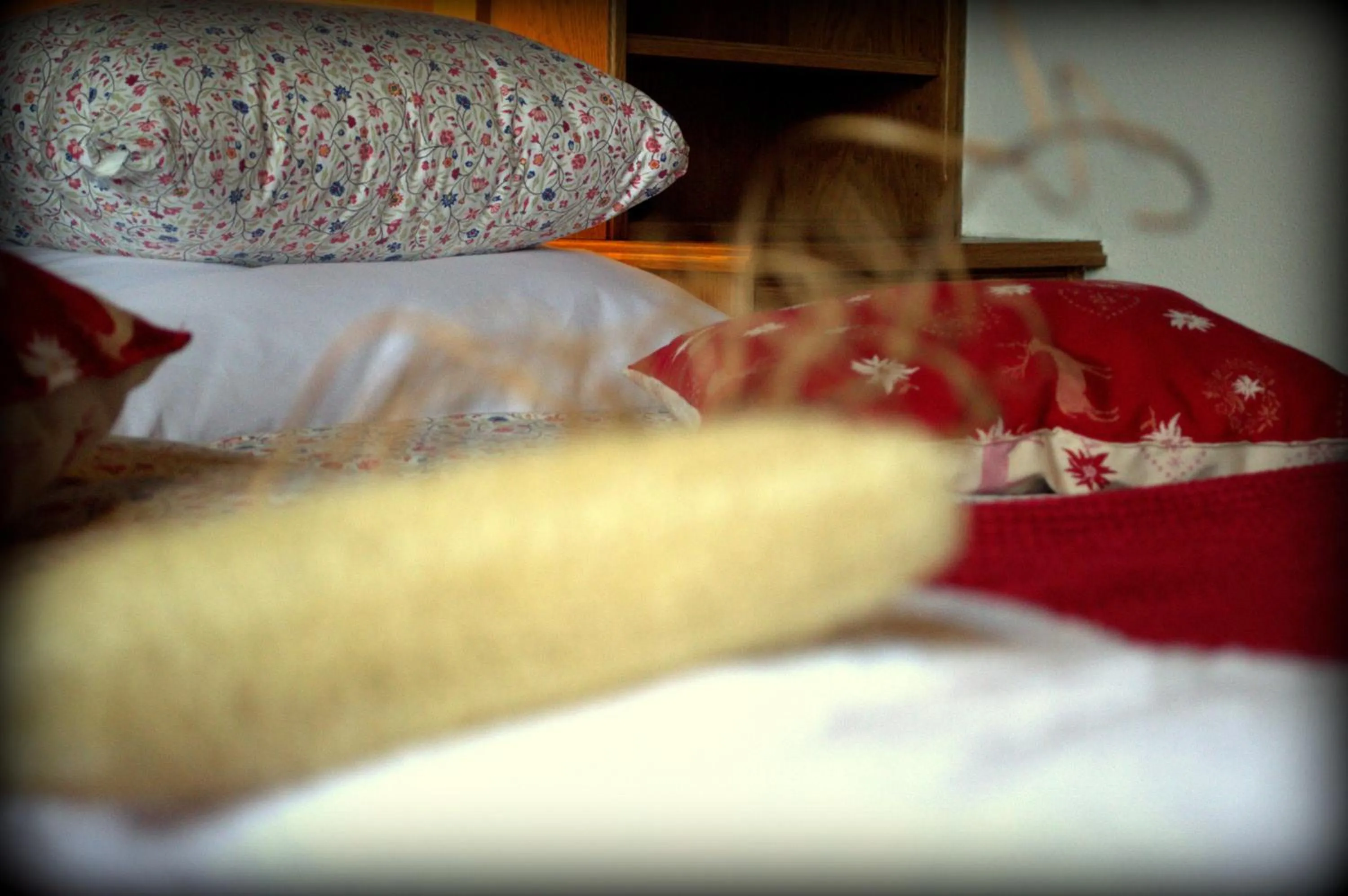 Other, Bed in Haus Susanne