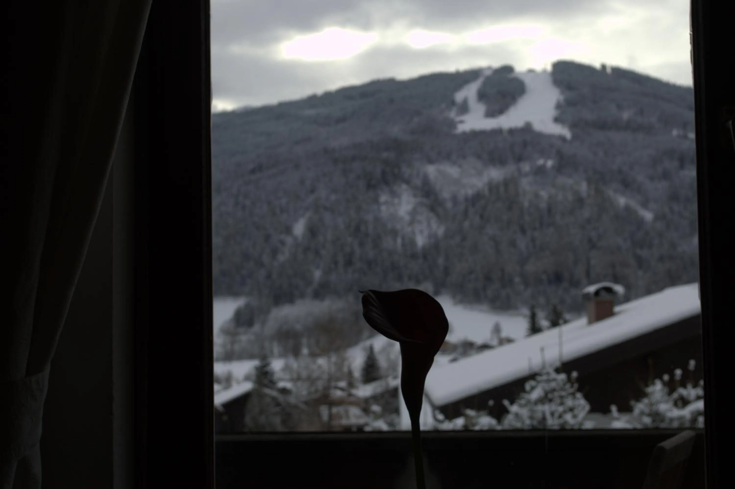 Decorative detail in Haus Susanne