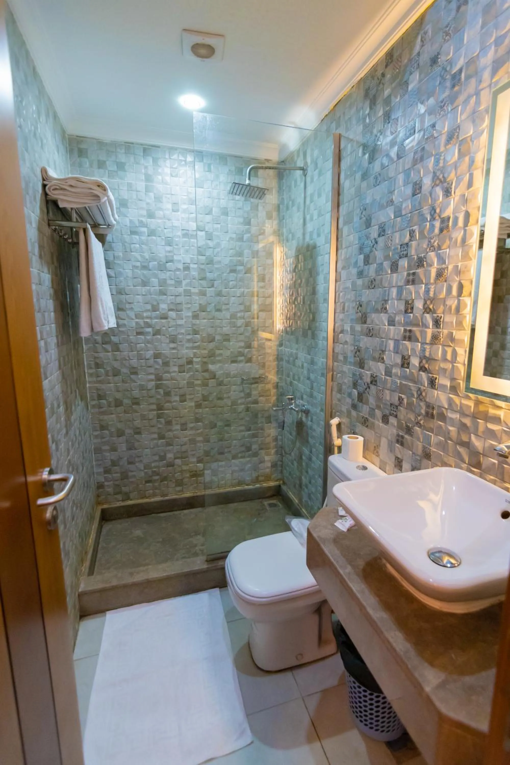 Bathroom in Museum Plaza