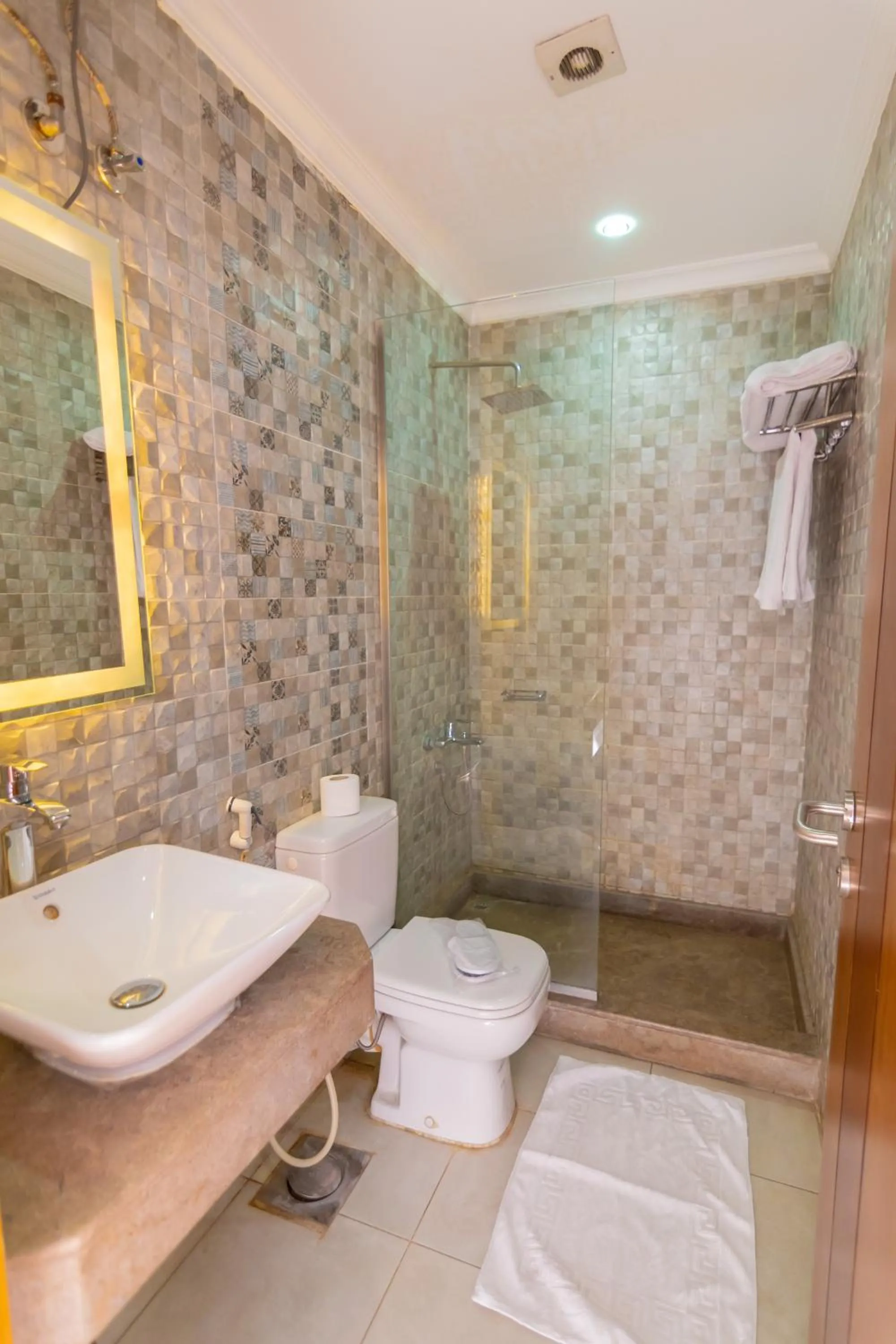 Toilet in Museum Plaza