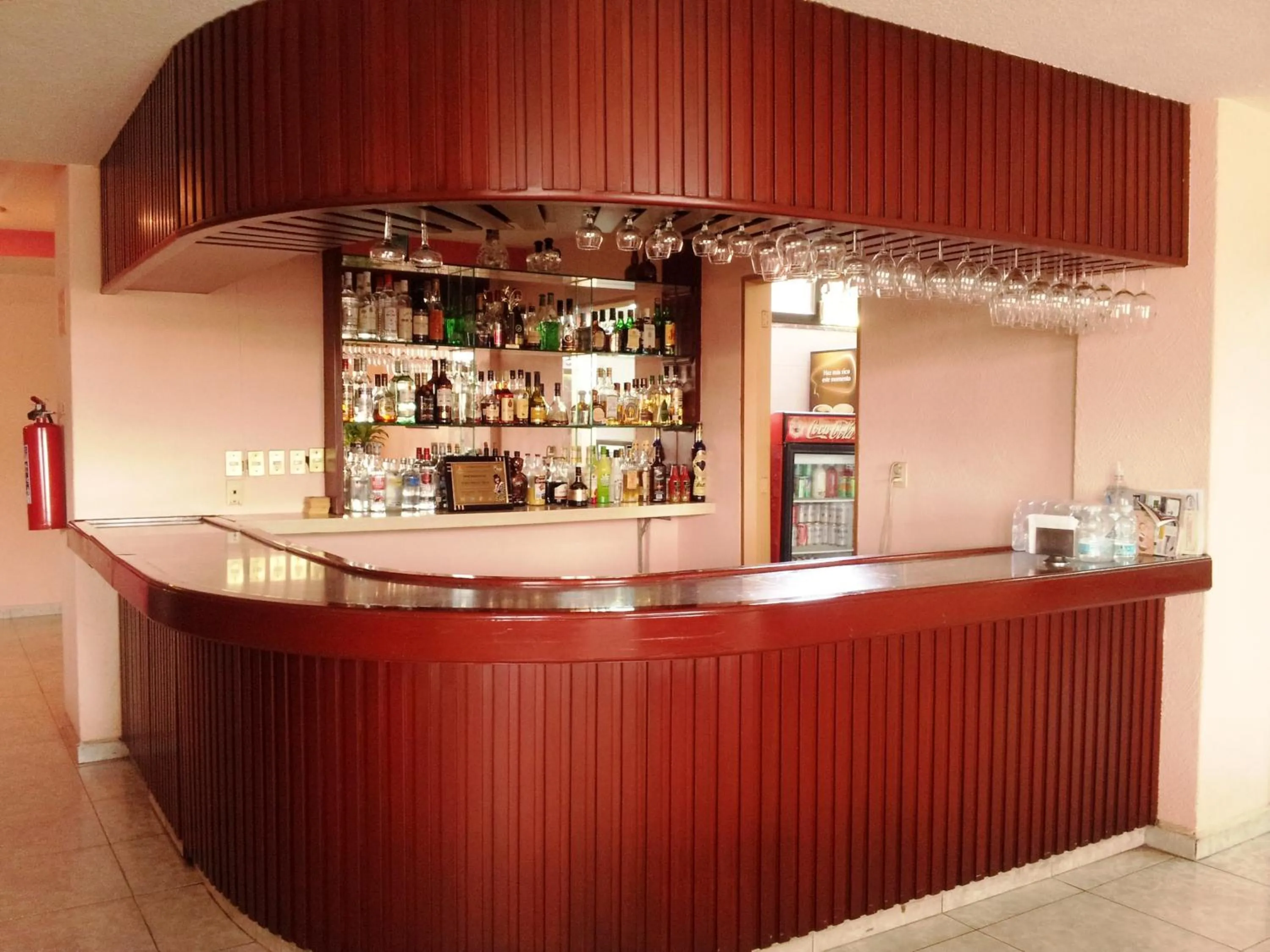 Lounge or bar in Hotel Siesta del Sur