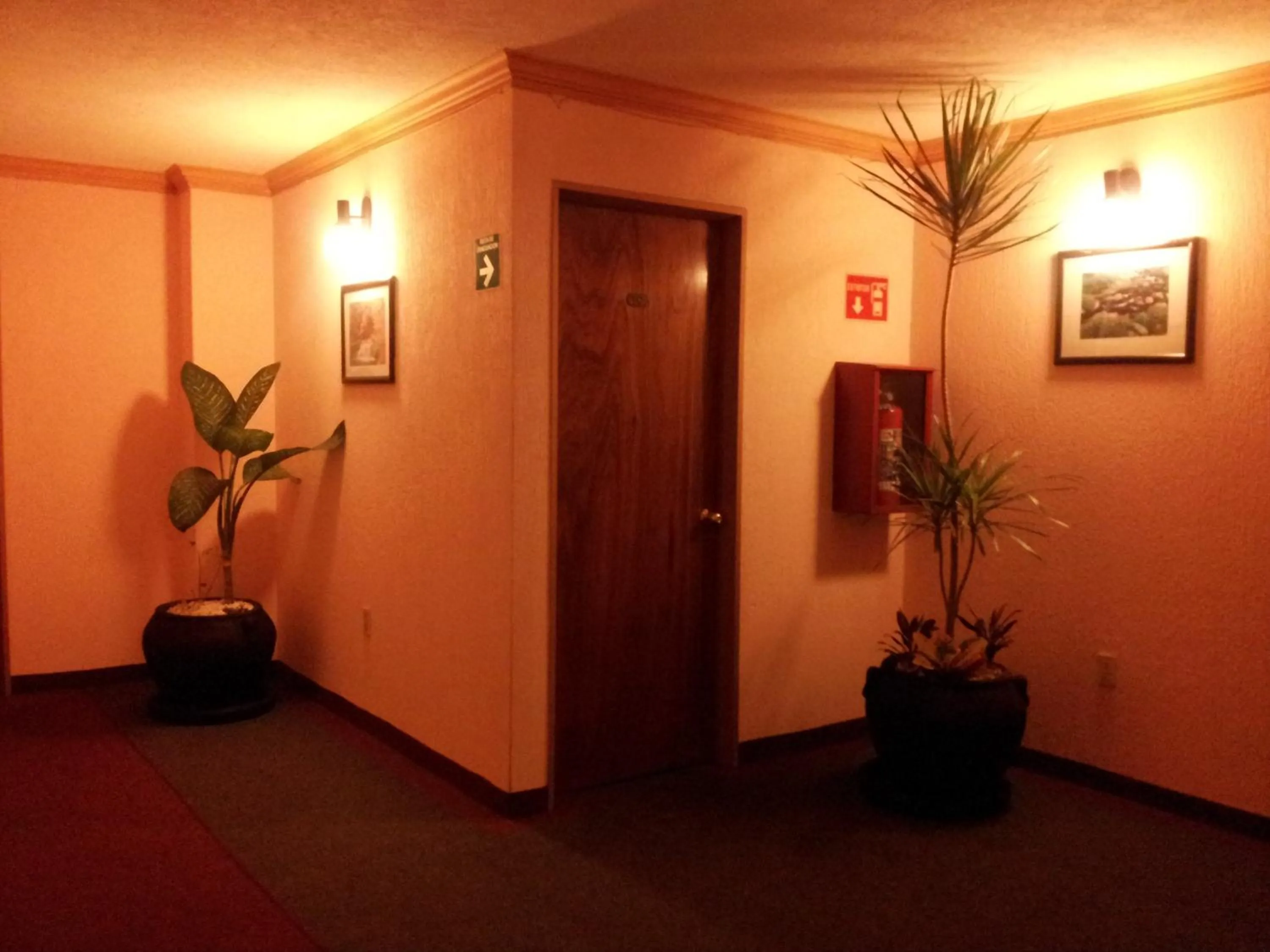 Decorative detail in Hotel Siesta del Sur