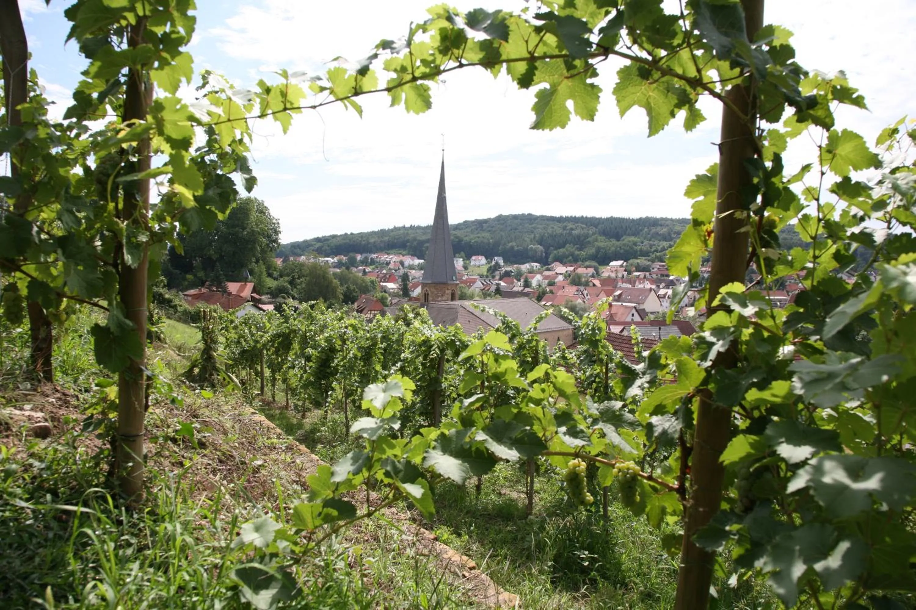 City view in Hotel Leo Mühlhausen