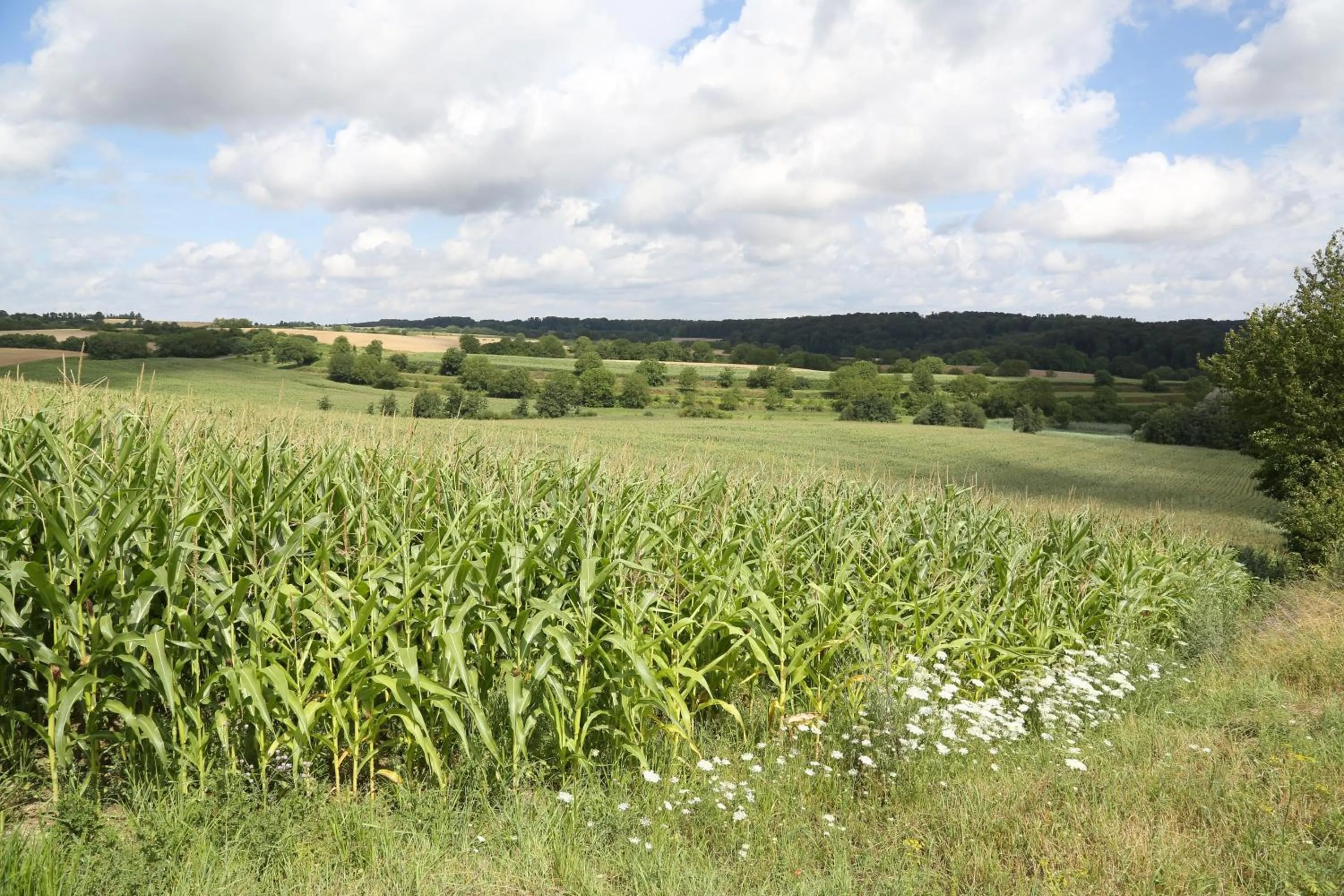 Day in Hotel Leo Mühlhausen