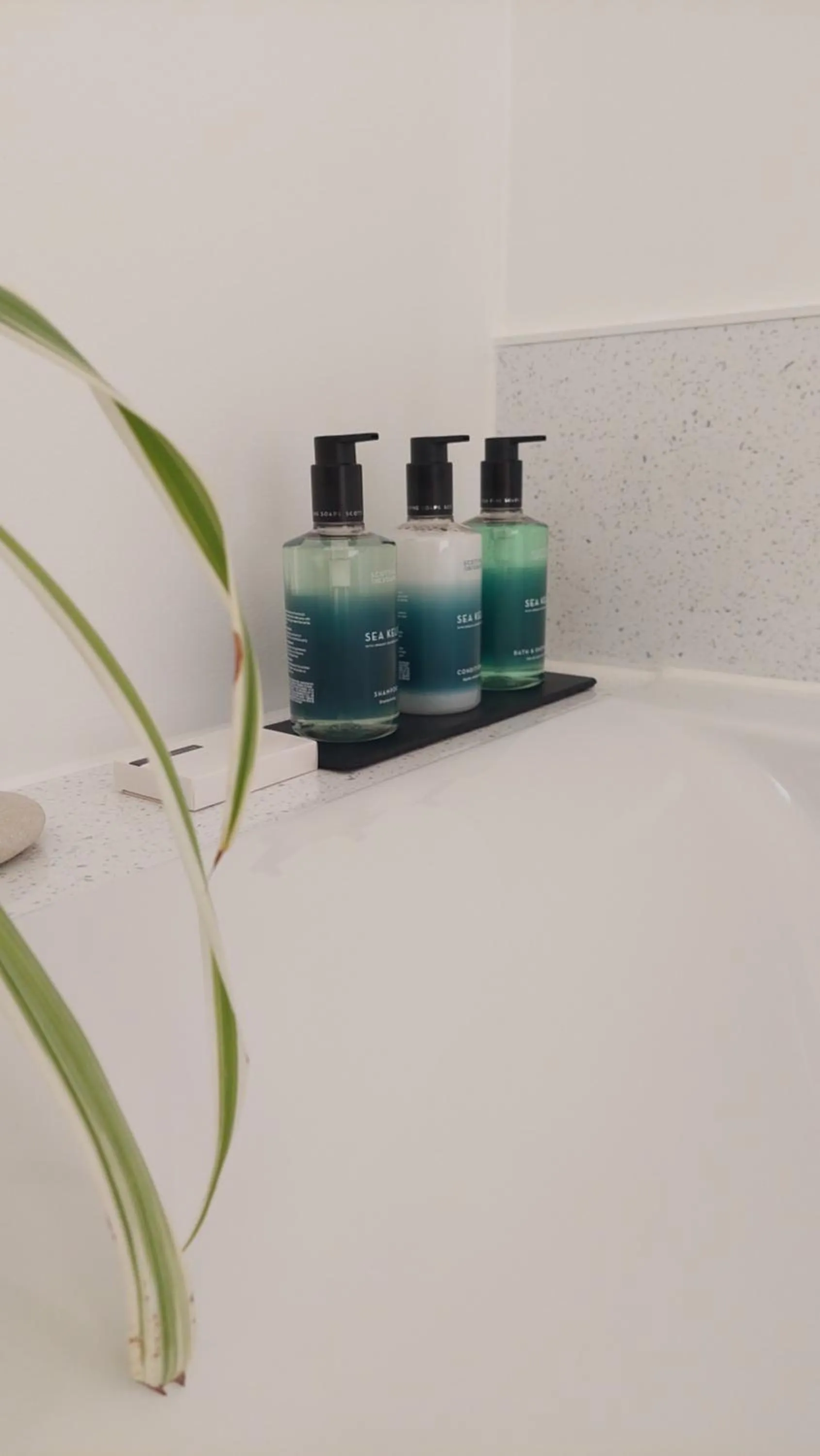 Orchard House Bed and Breakfast