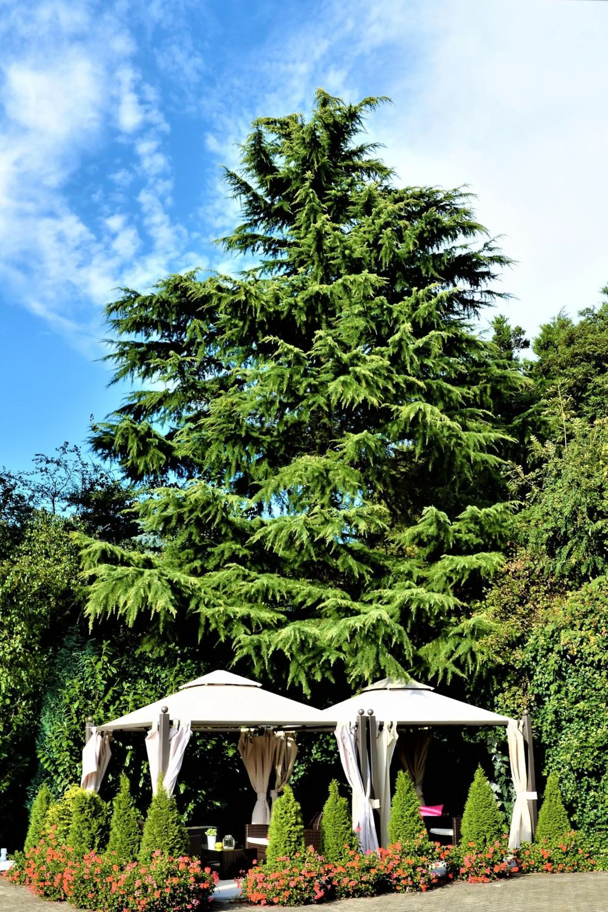 Balcony/Terrace in Ascot Hotel