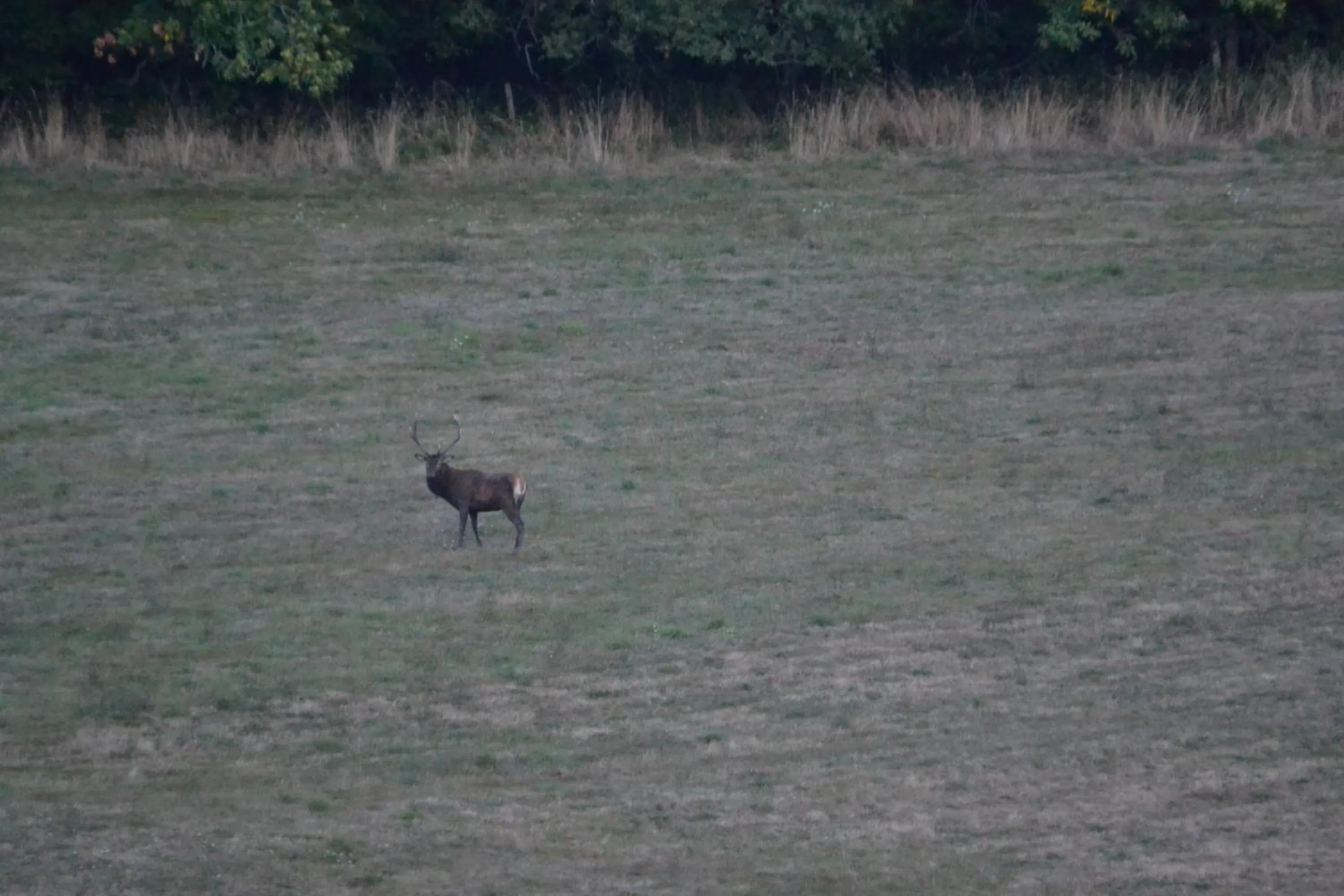 La Ferme de Sapharey