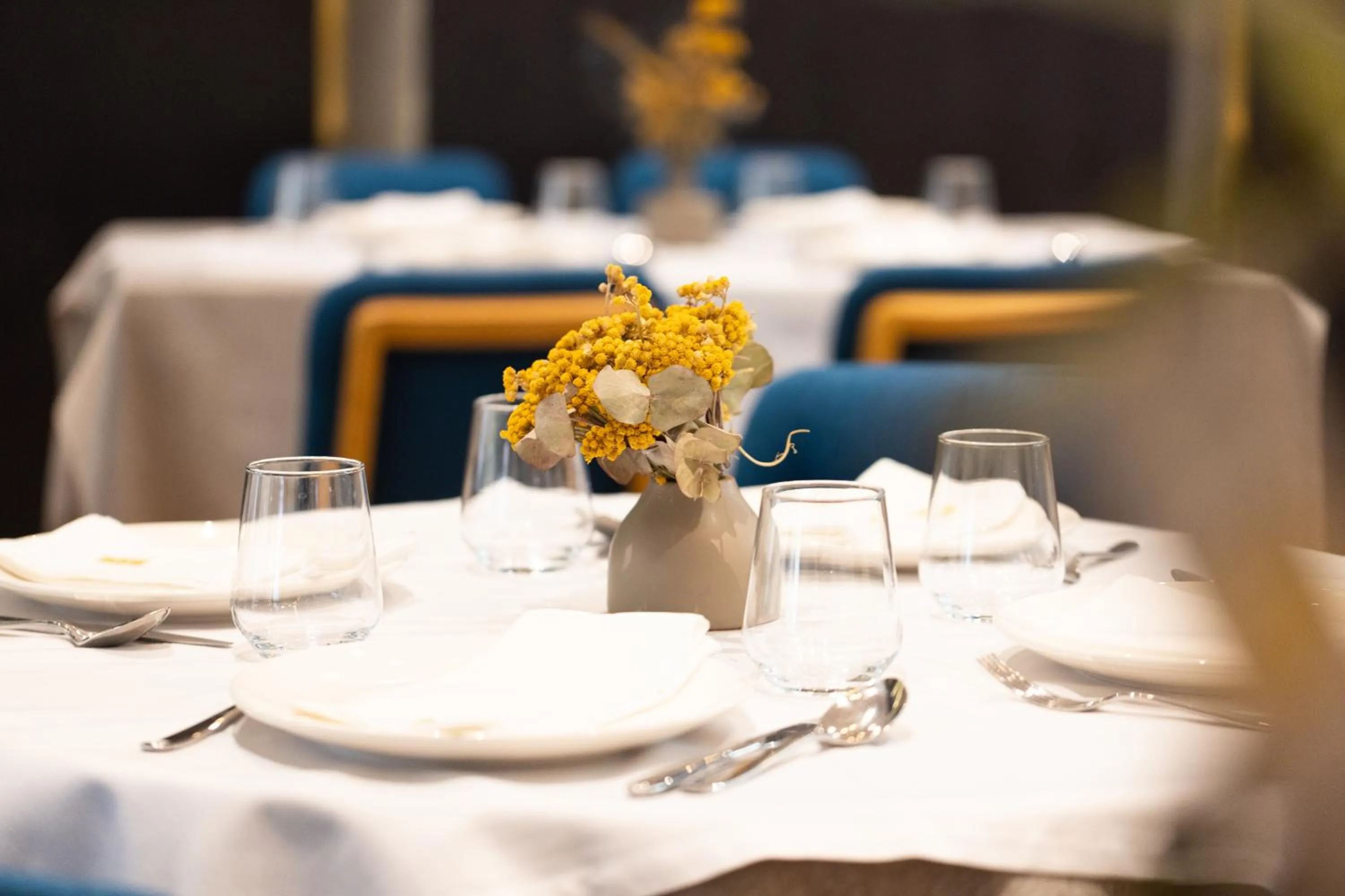 Restaurant/places to eat in Habitat Hotel Tirana