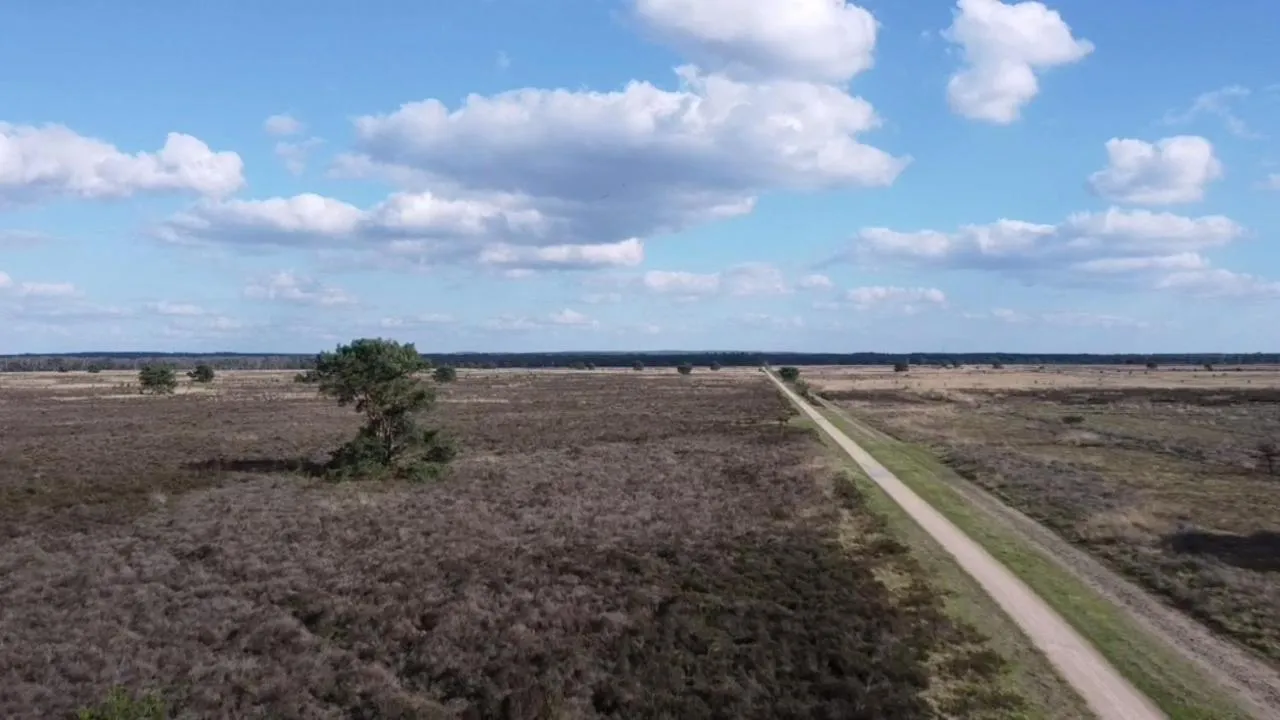 Neighbourhood in B&B Speulderveld