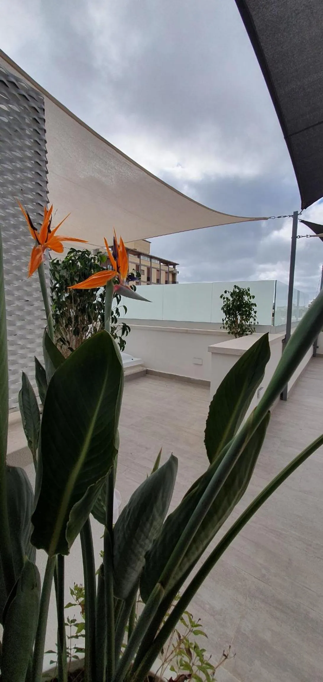Balcony/Terrace in MY HOUSE LUXURY HOME
