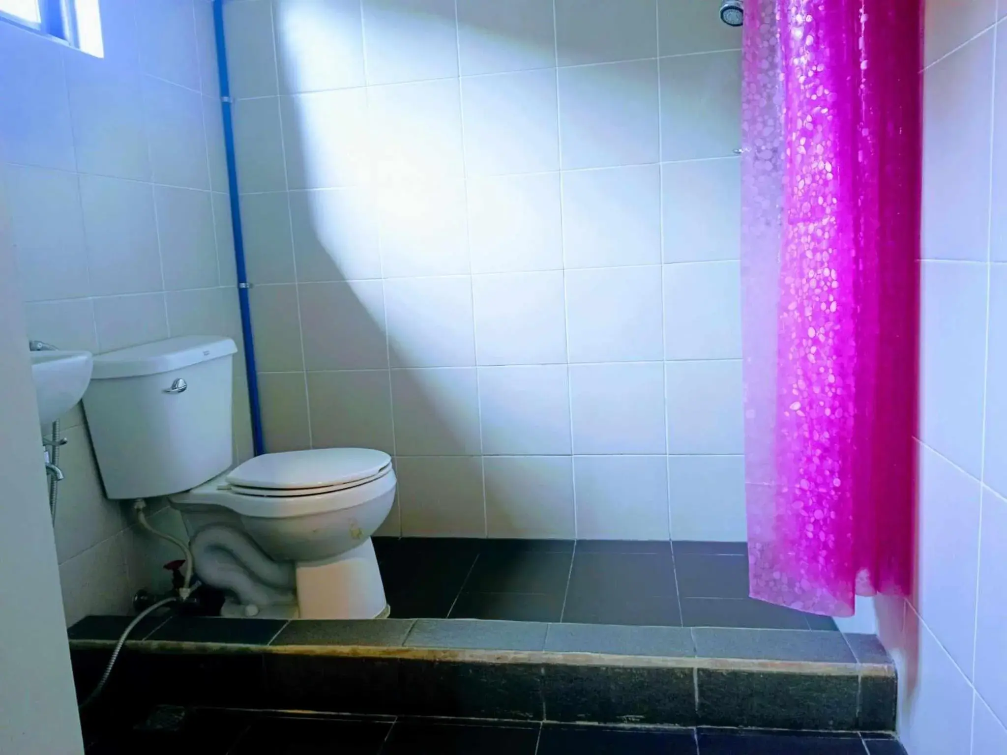 Mixed Dormitory Room in 2020 Travelers Inn Mixed Dormitory Room in 2020 Travelers Inn