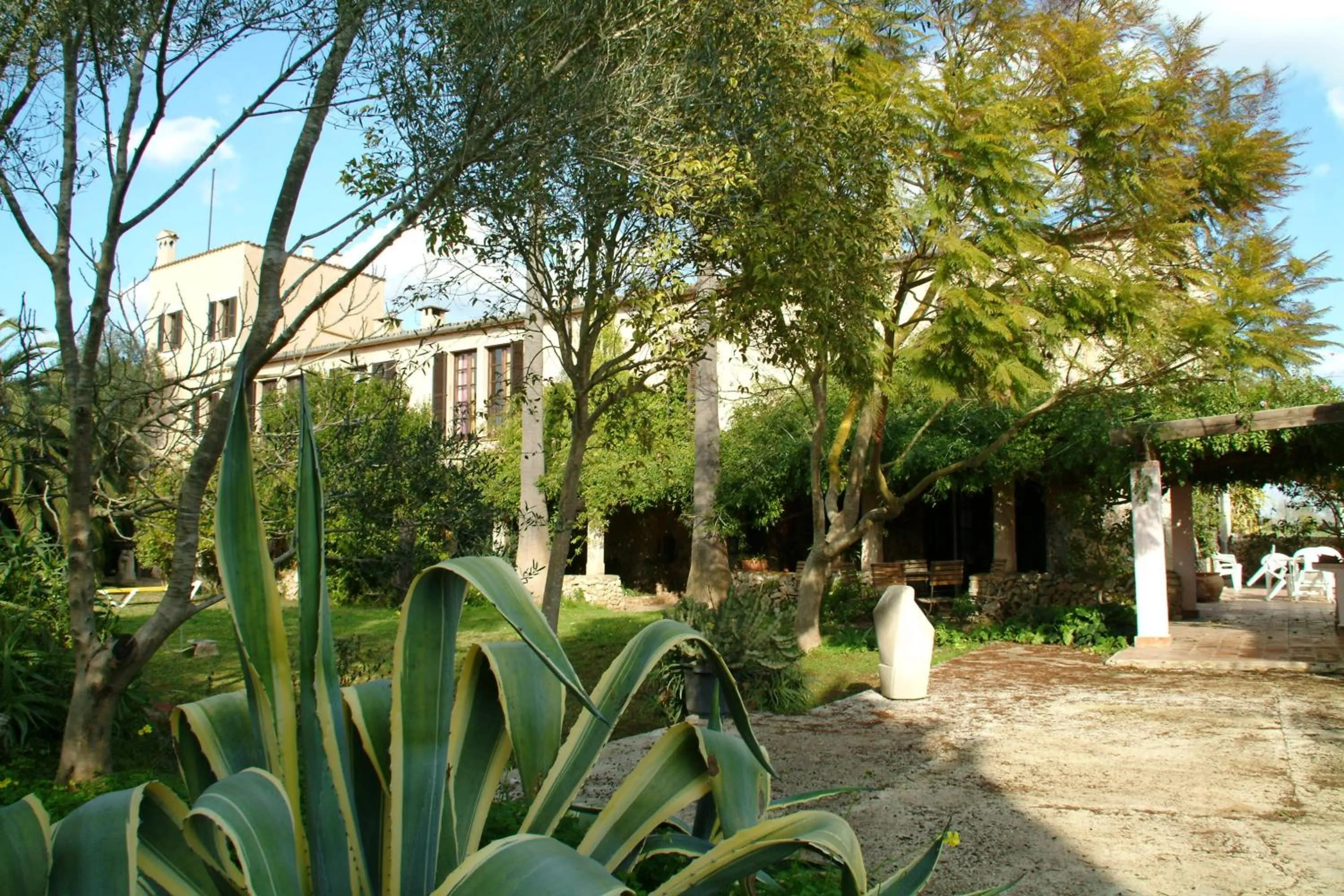 Property building in Son Baulo