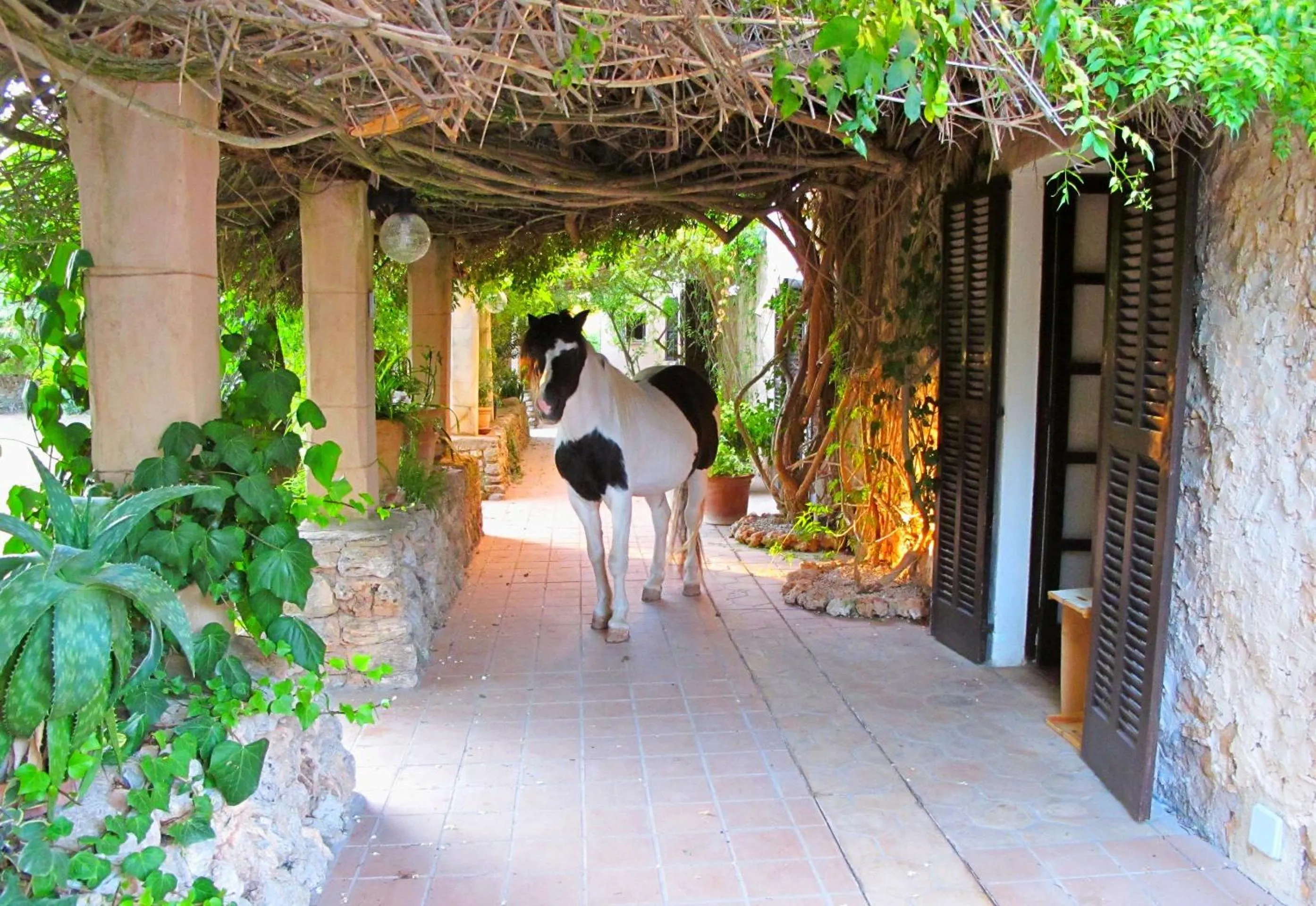 Facade/entrance in Son Baulo