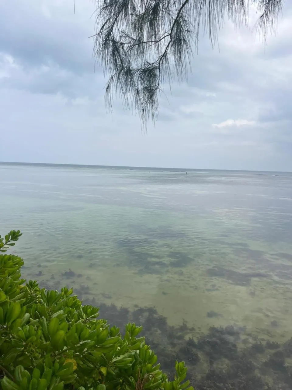 Sea view in Le Chateau Bleu