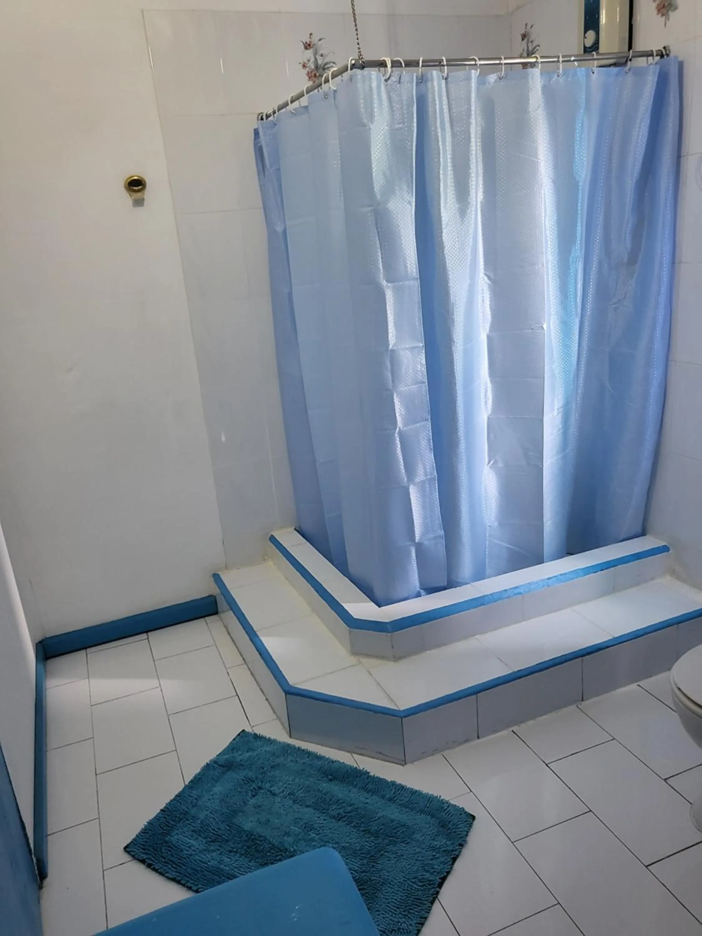 Shower in Le Chateau Bleu