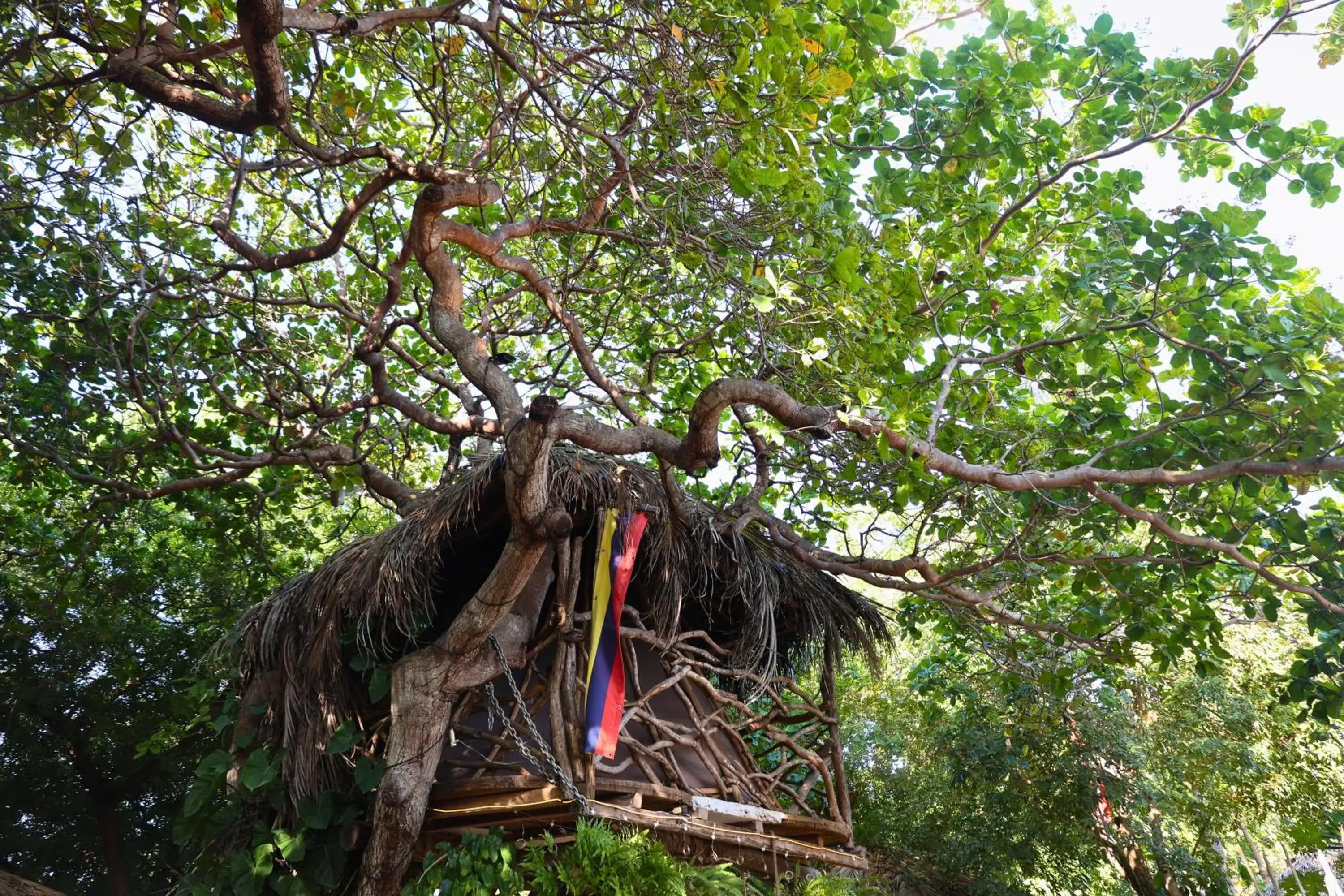 Tent in Bahaka Jeri Tent in Bahaka Jeri