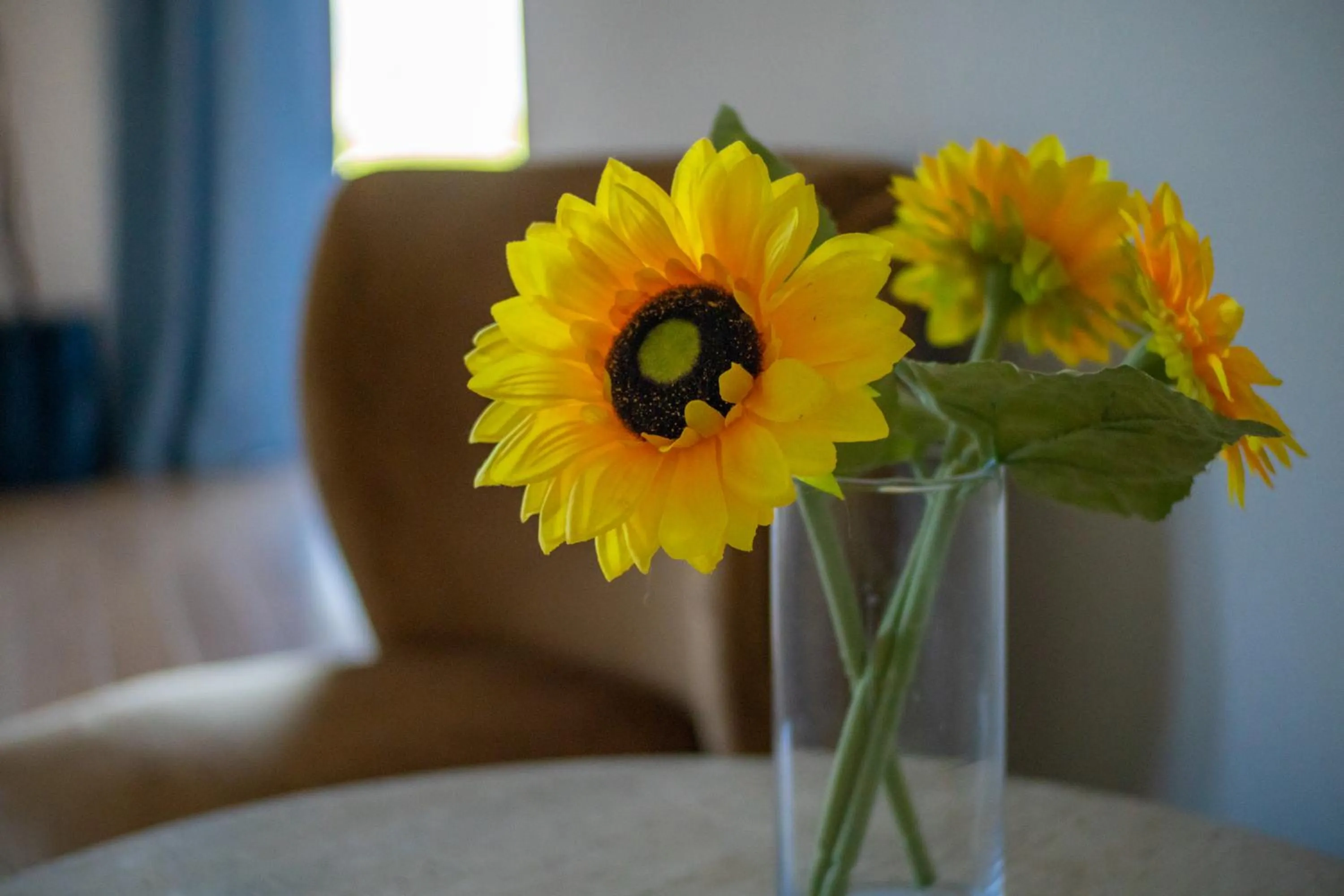 Seating area in Sonora Desert Inn