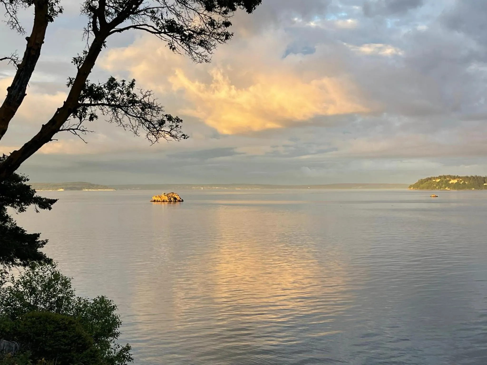 Puget Sound Chic Romantic Cottage with Private Beach Access & Gated Entry