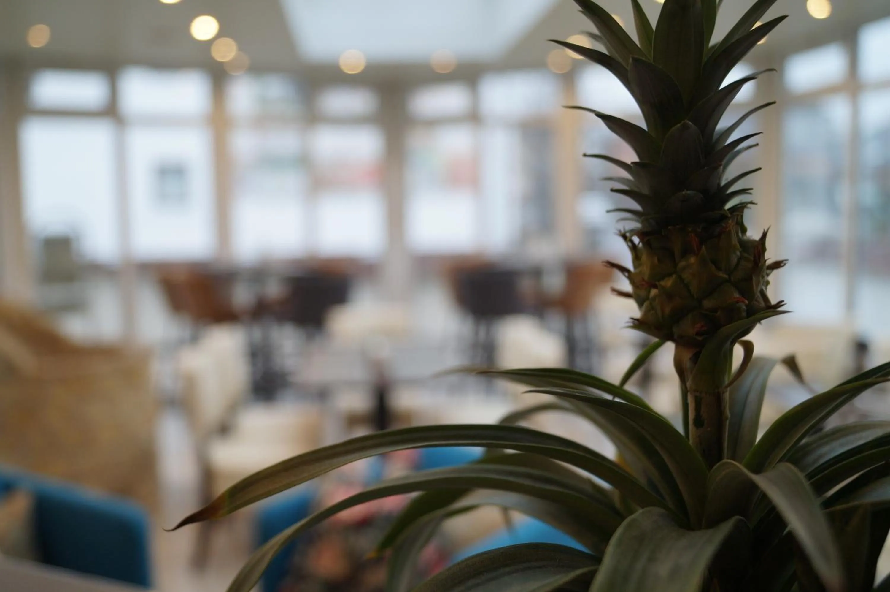 Property building in Parkhotel am Schloss Machern