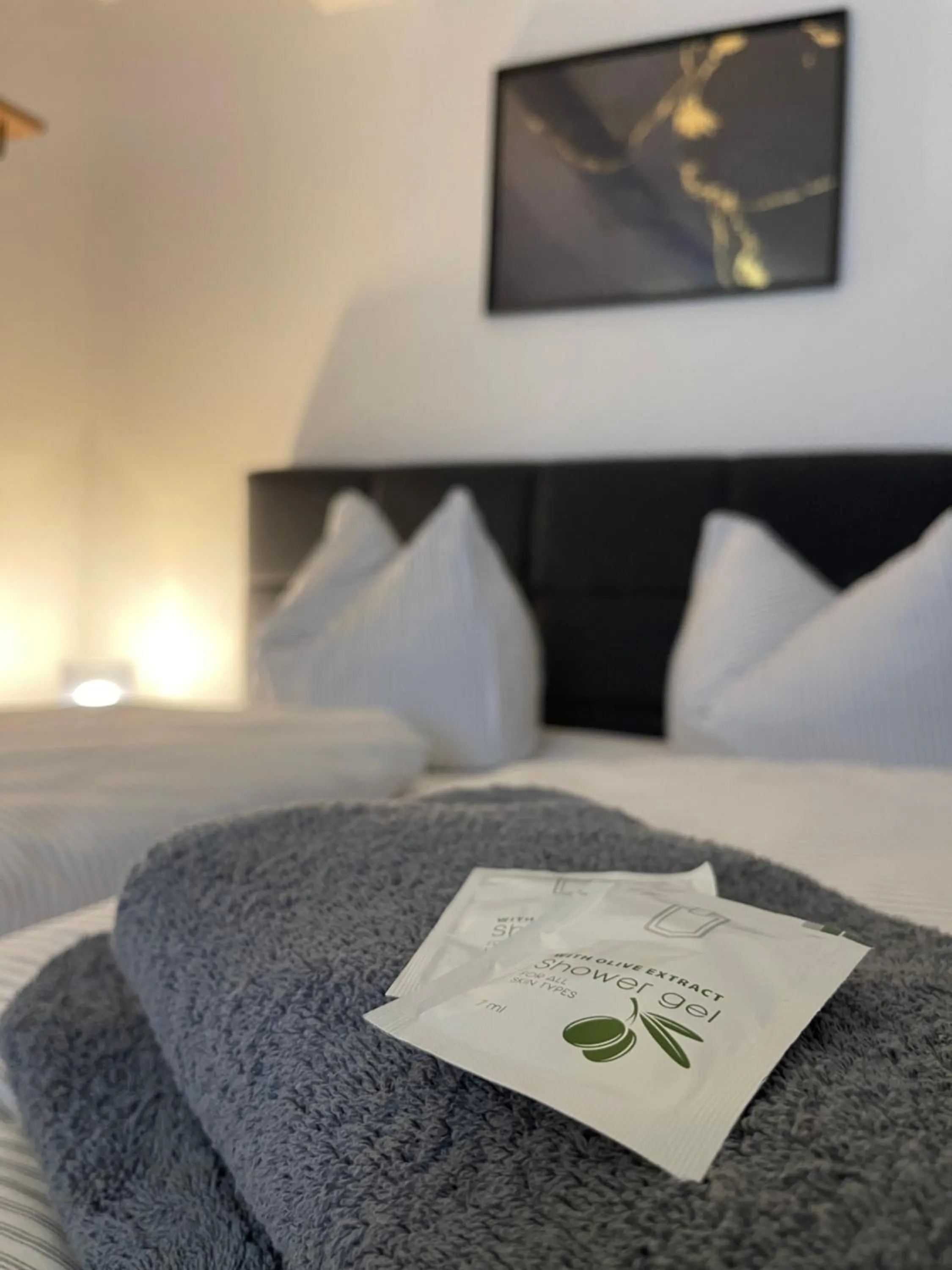 Living room, Bed in Parkhotel am Schloss Machern