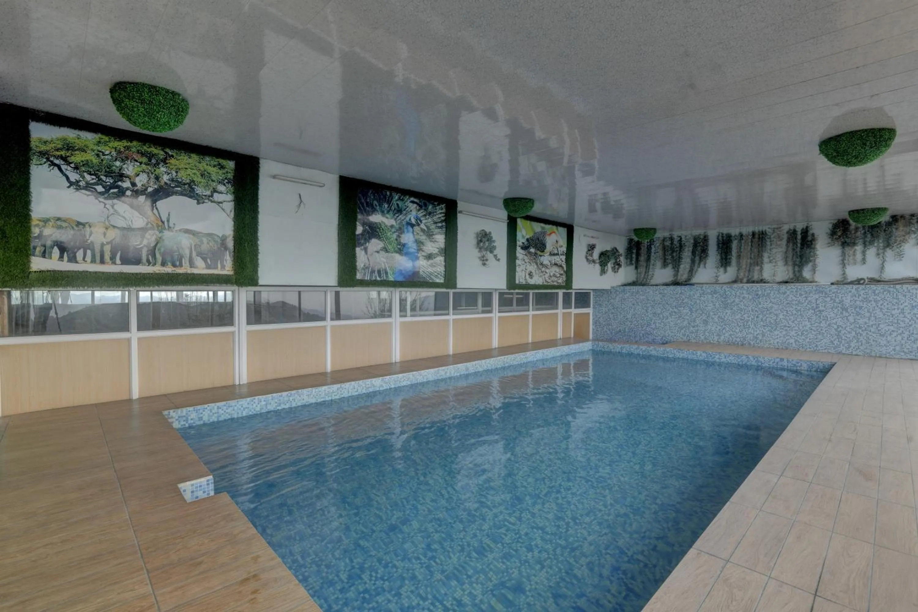 Swimming pool in Tarika Resort & Spa , Chail