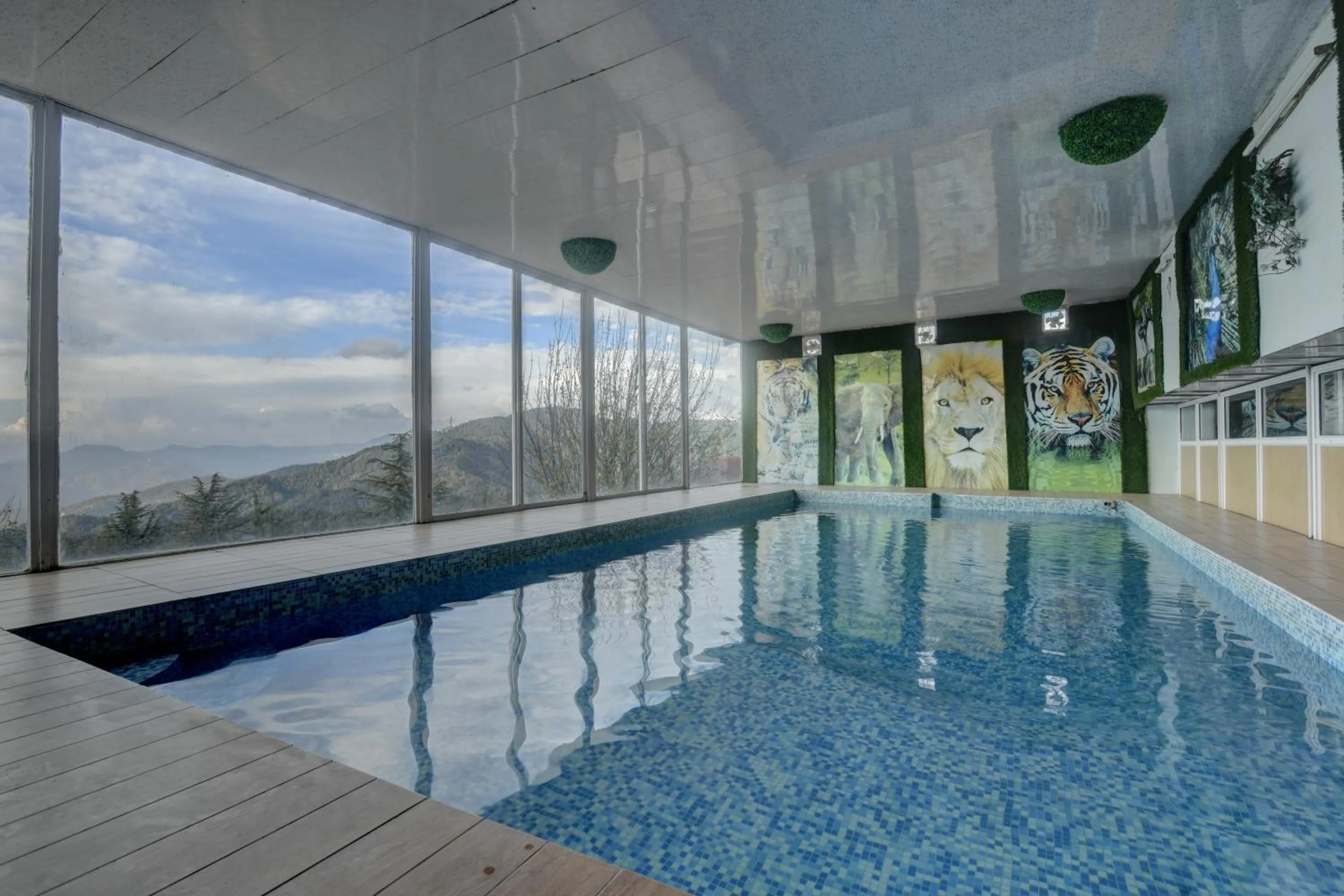 Swimming pool in Tarika Resort & Spa , Chail