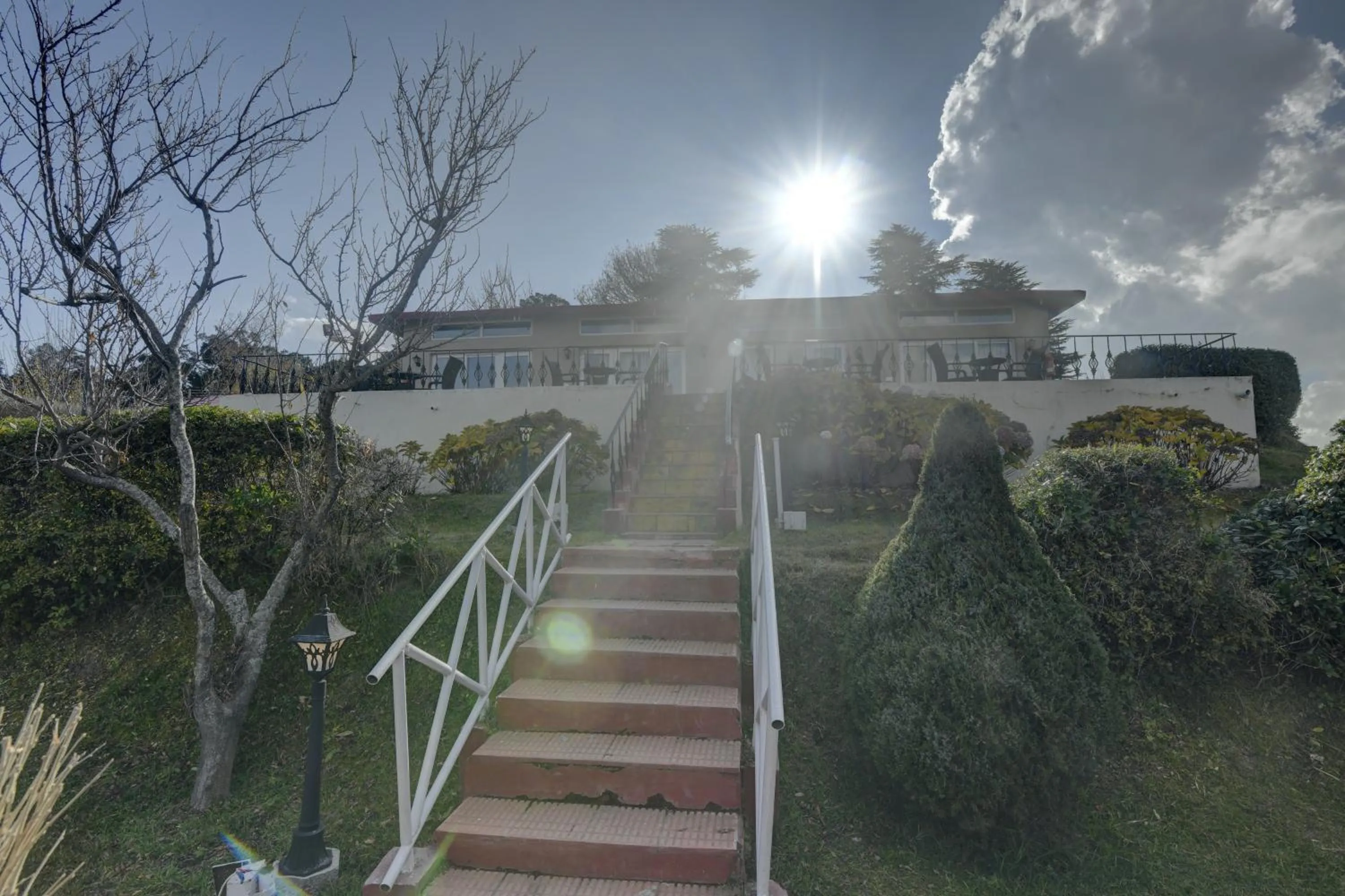 Garden in Tarika Resort & Spa , Chail