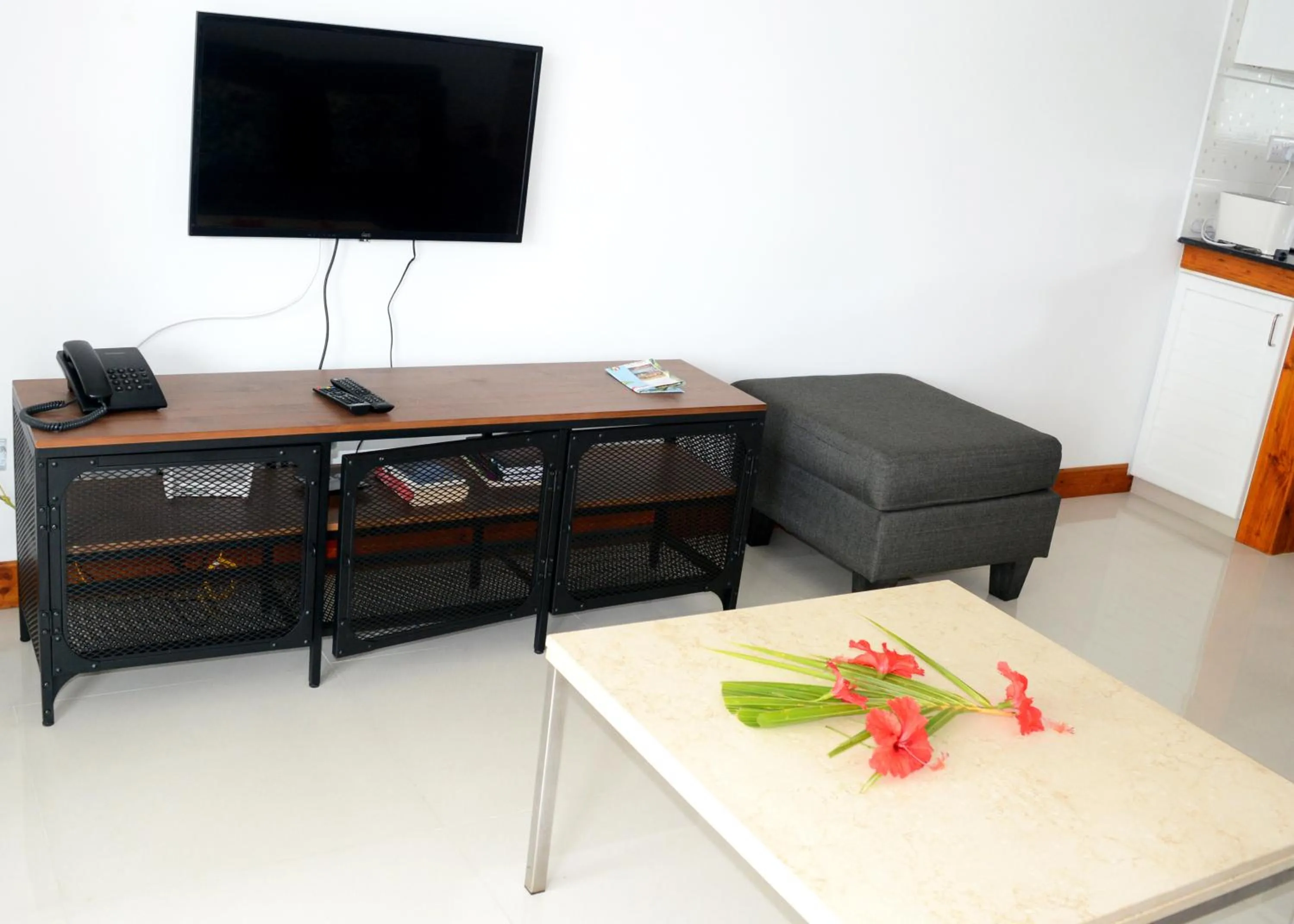 TV and multimedia in La Villa Therese