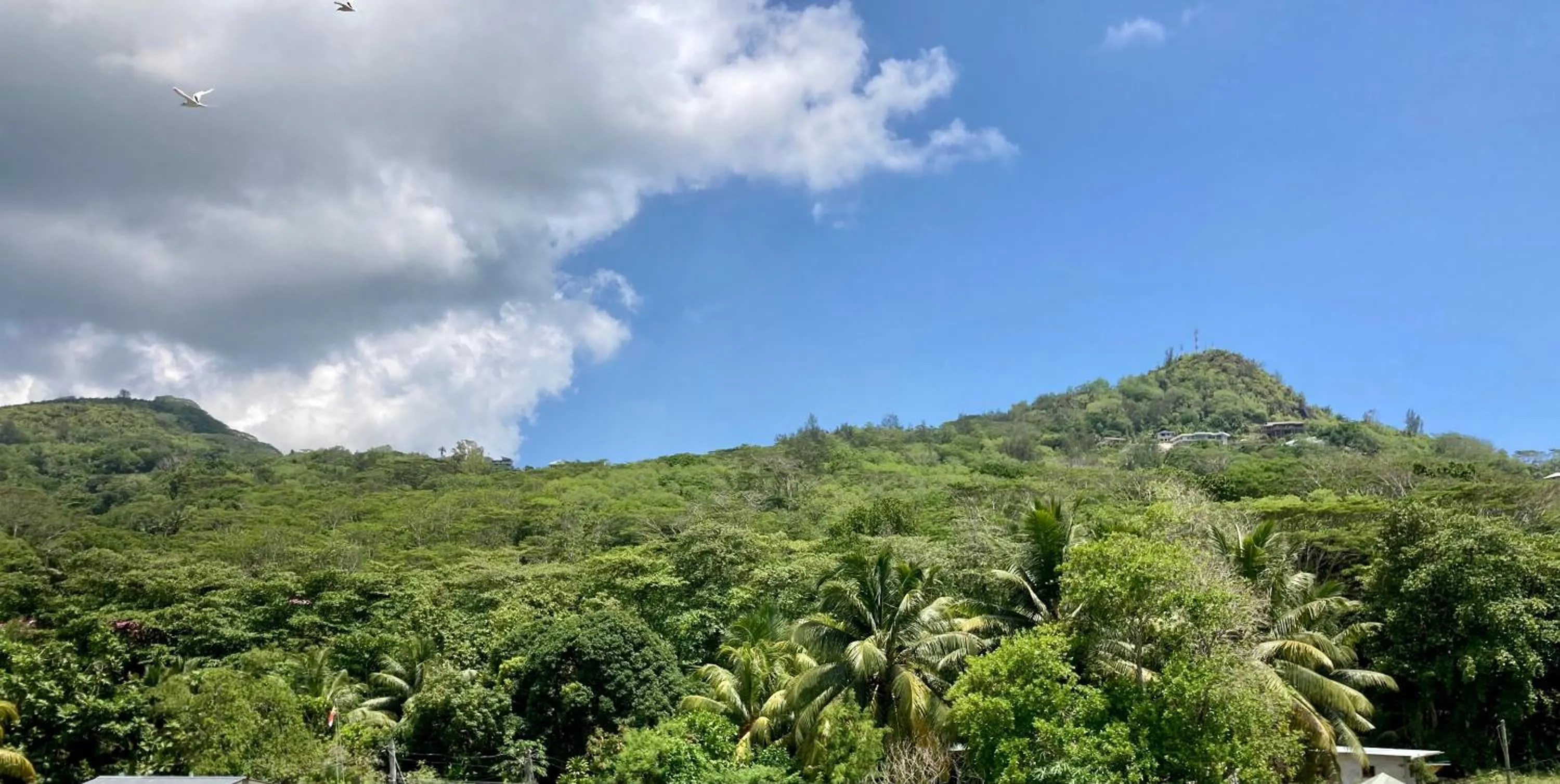 Mountain view in La Villa Therese