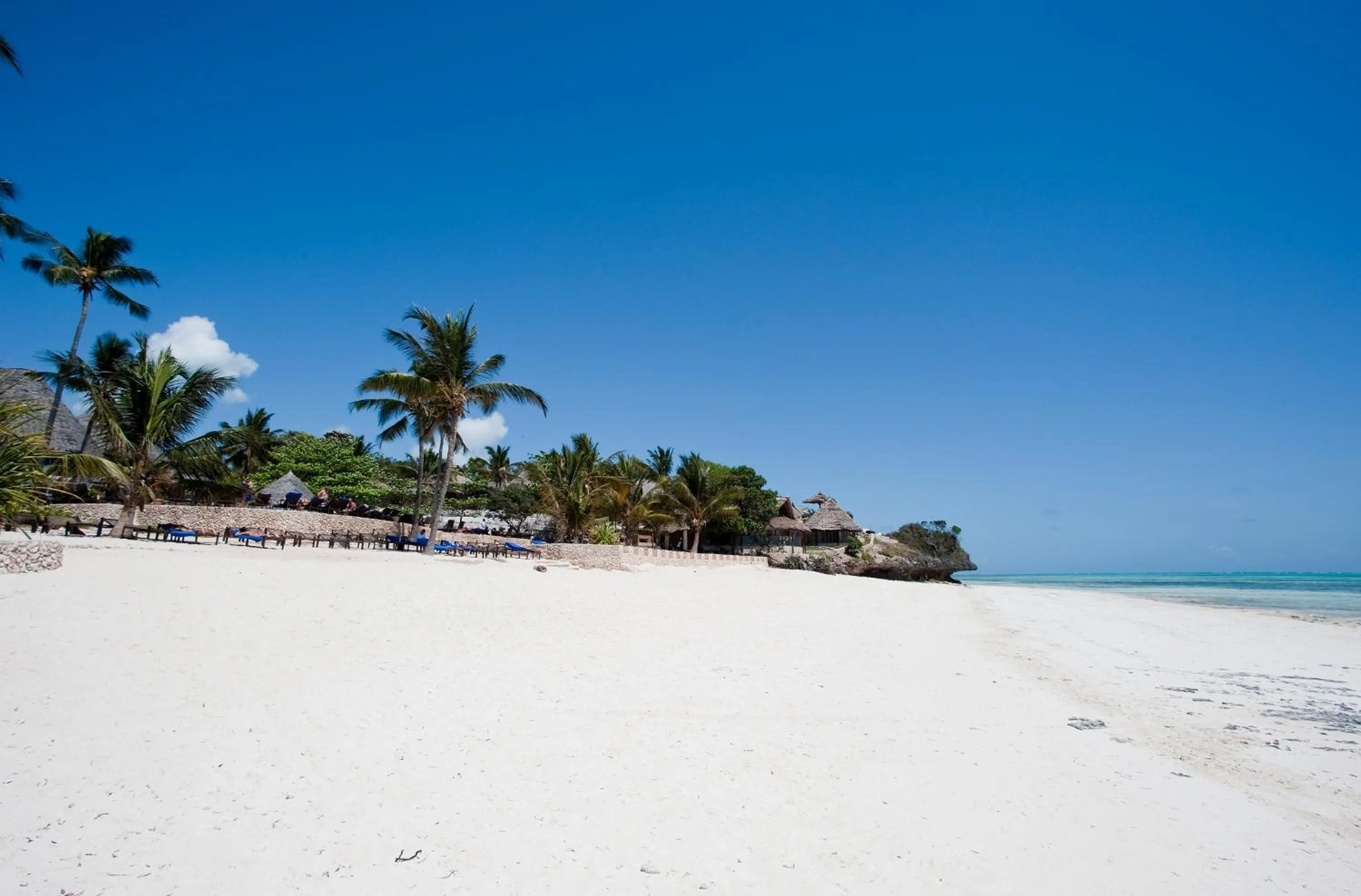 Beach in Karafuu Beach Resort & Spa
