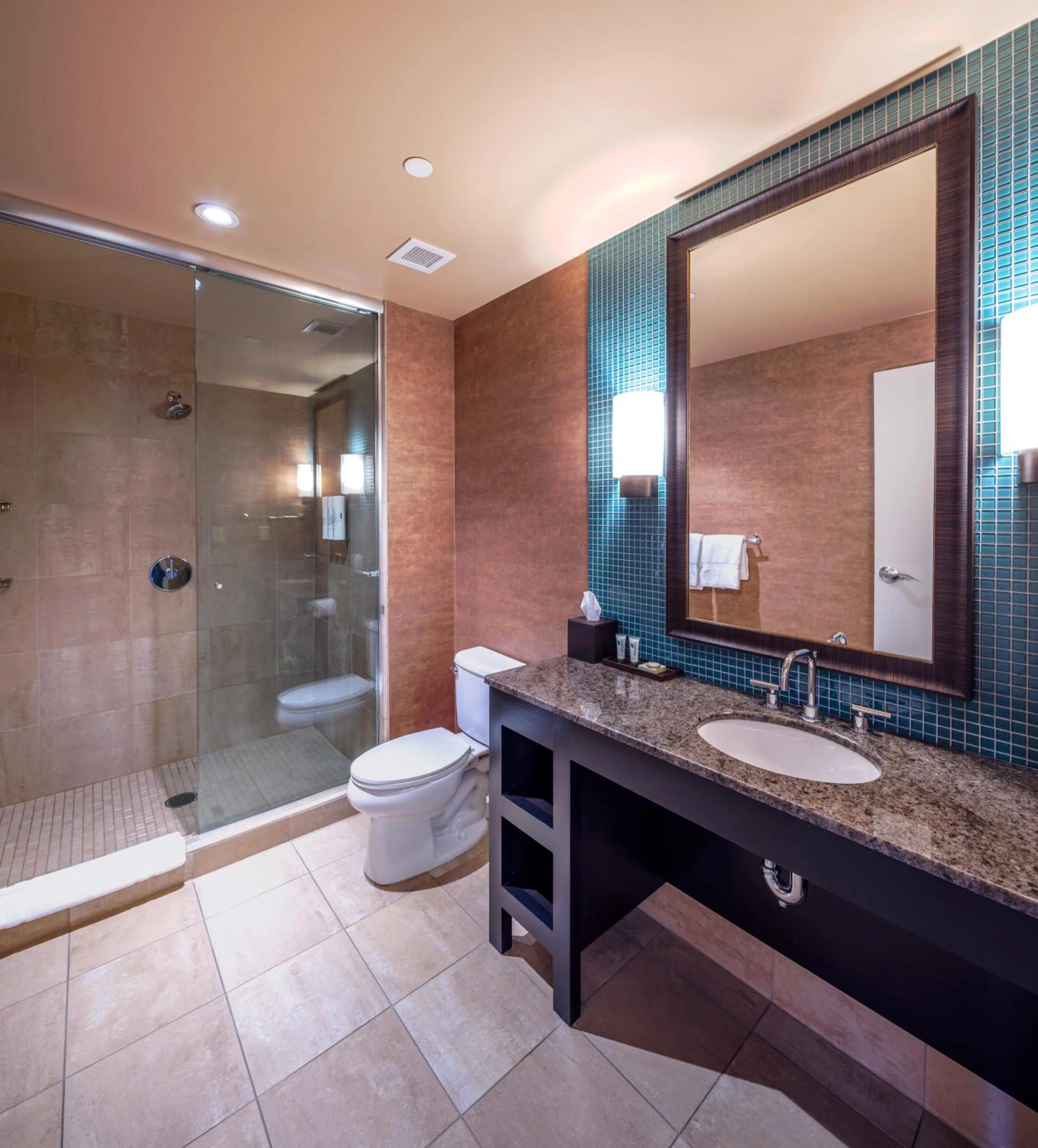 Bathroom in Akwesasne Mohawk Casino Resort and Players Inn Hotel -formerly Comfort Inn and Suites Hogansburg NY