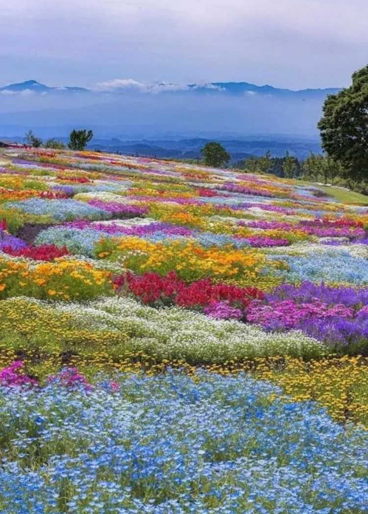 Natural landscape in il Riccio B&B