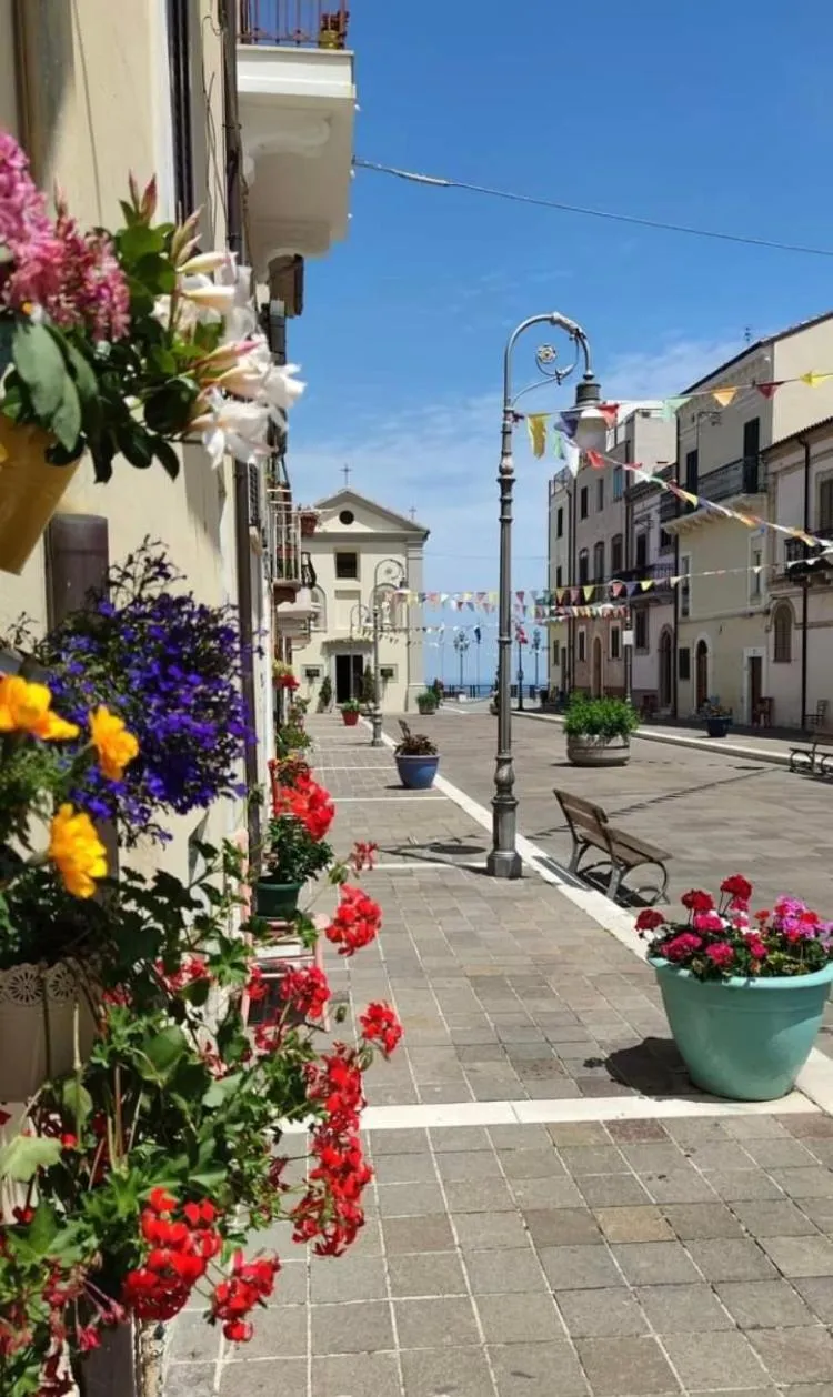 City view in il Riccio B&B