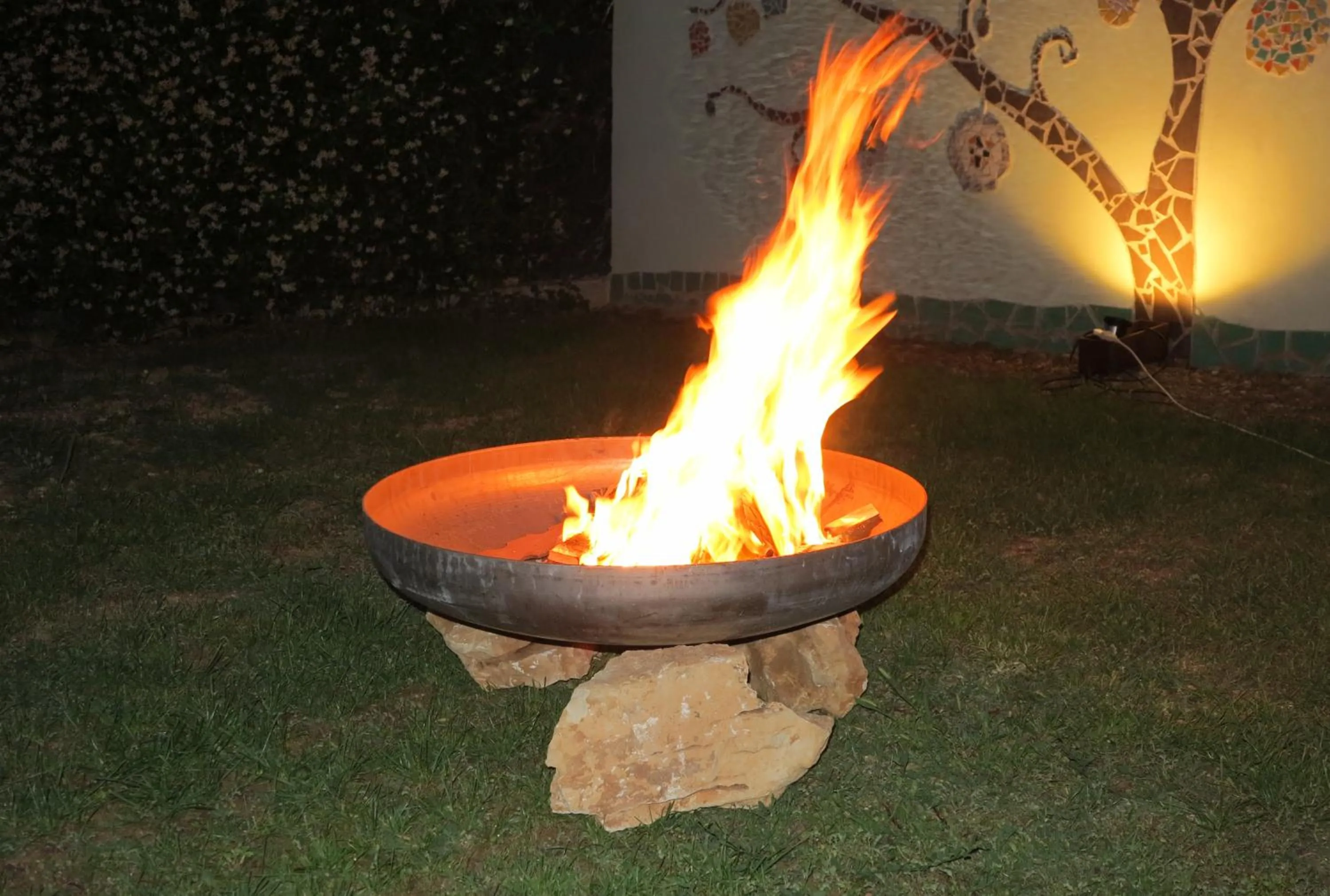 Garden in il Riccio B&B